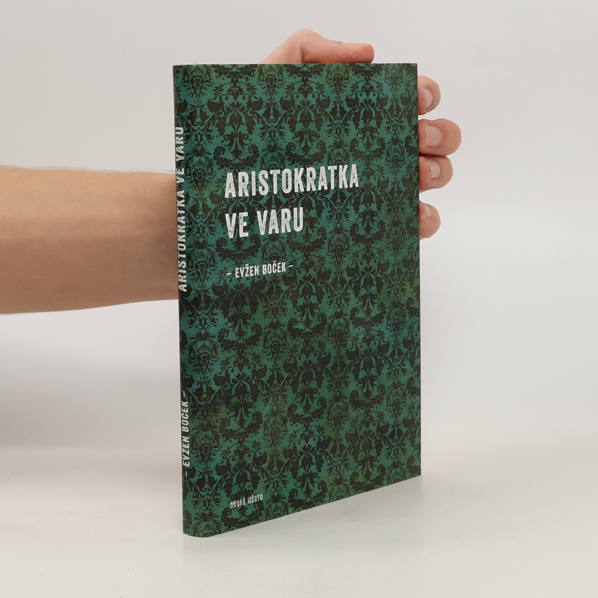 Evžen Boček Aristokratka ve varu