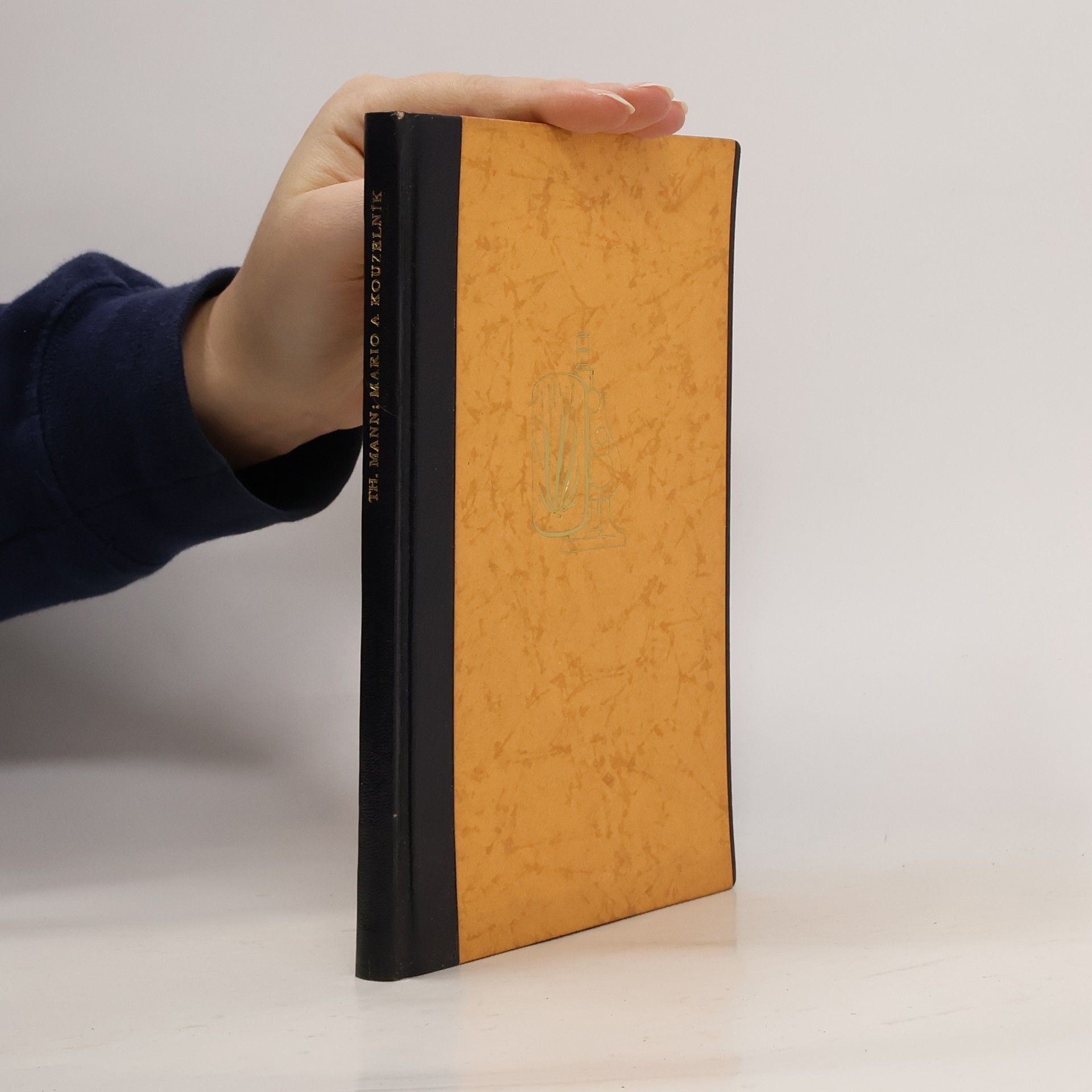 Thomas Mann Mario a kouzelník