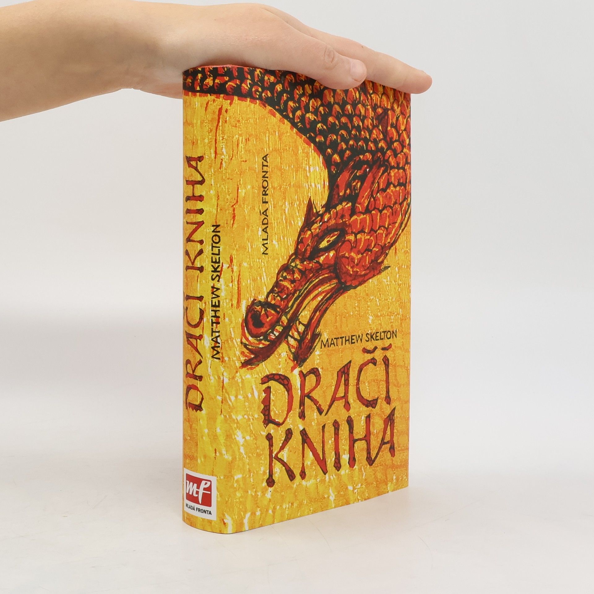 Matthew Skelton Dračí kniha