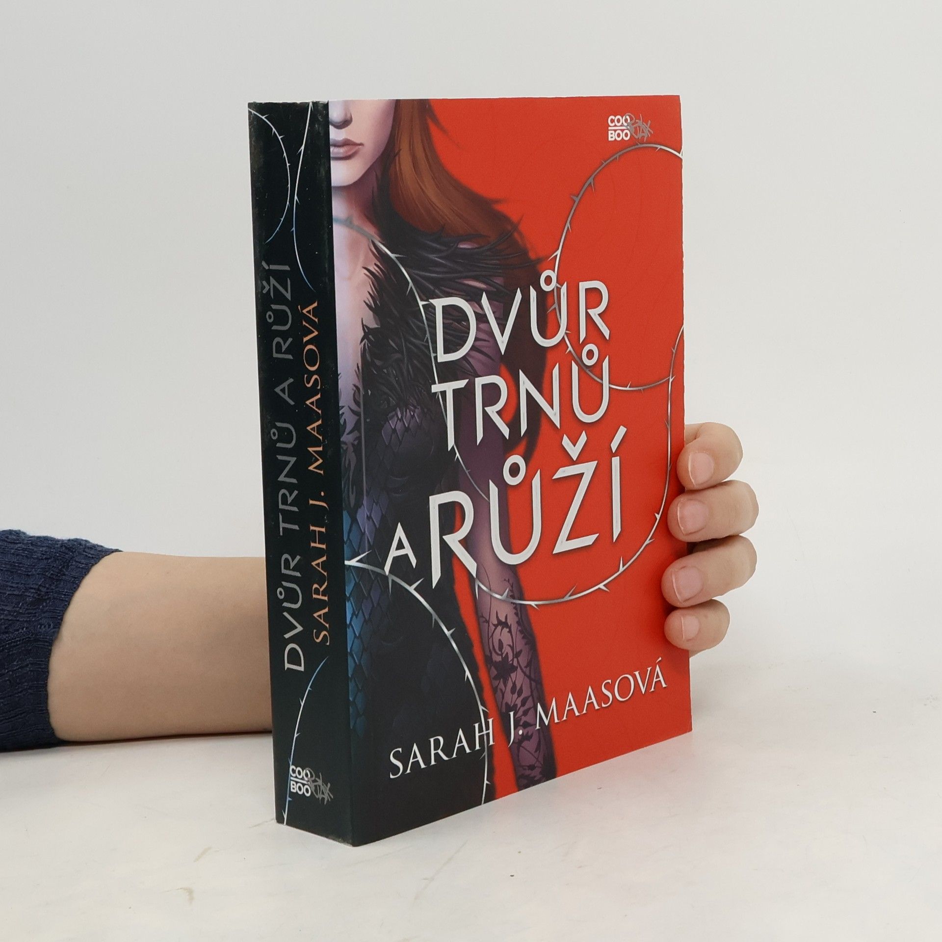 Sarah J. Maas Dvůr trnů a růží