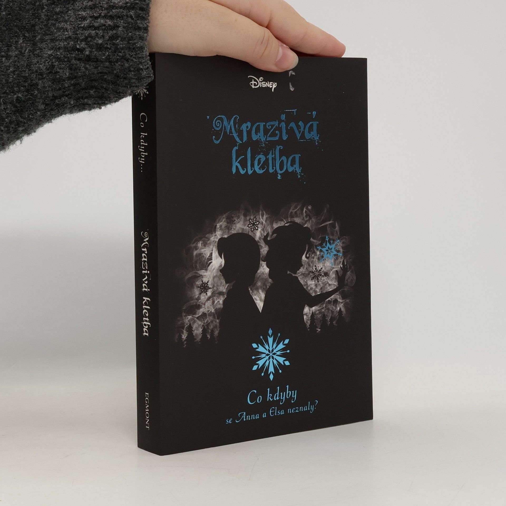 Jen Calonita Mrazivá kletba