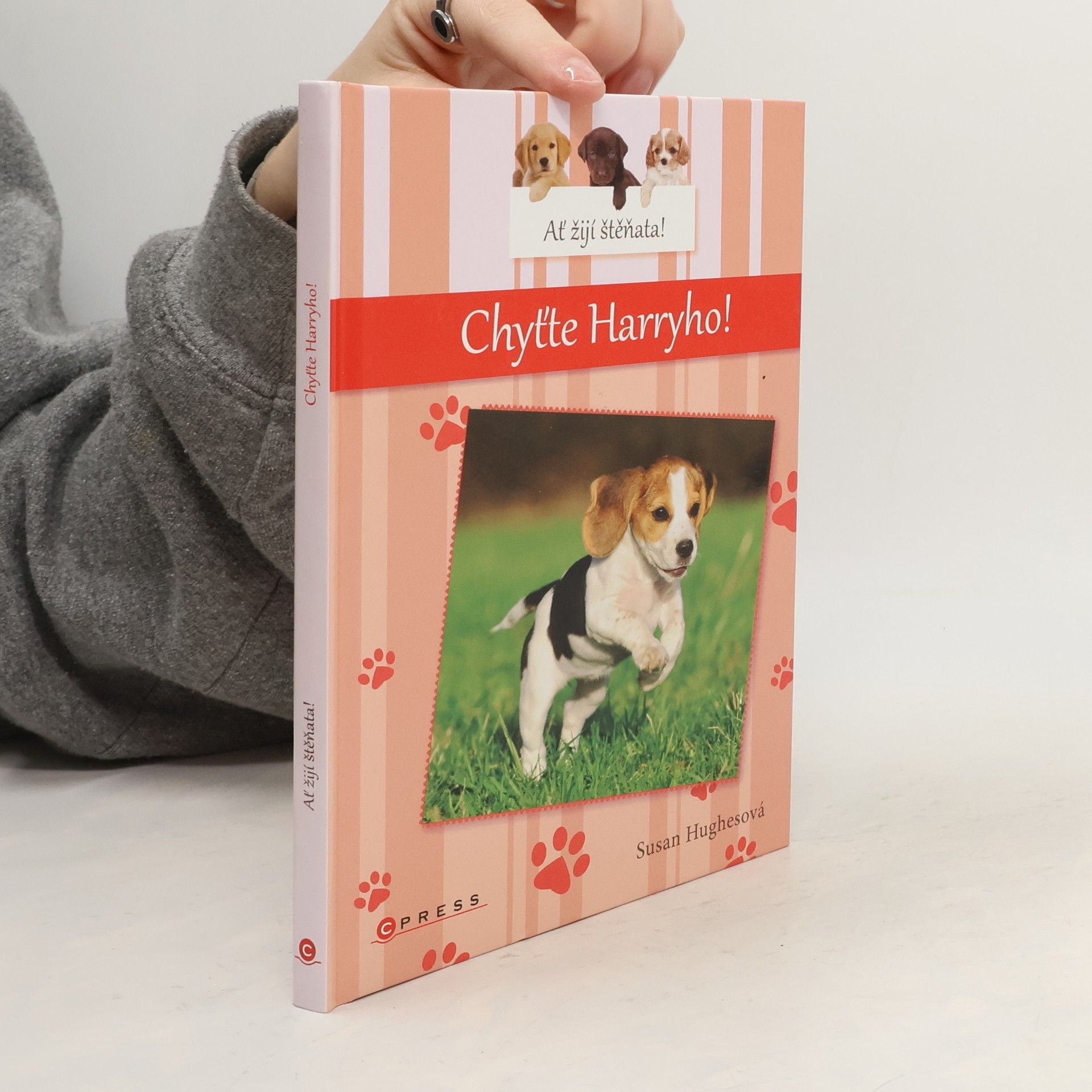 Susan Hughes Chyťte Harryho!