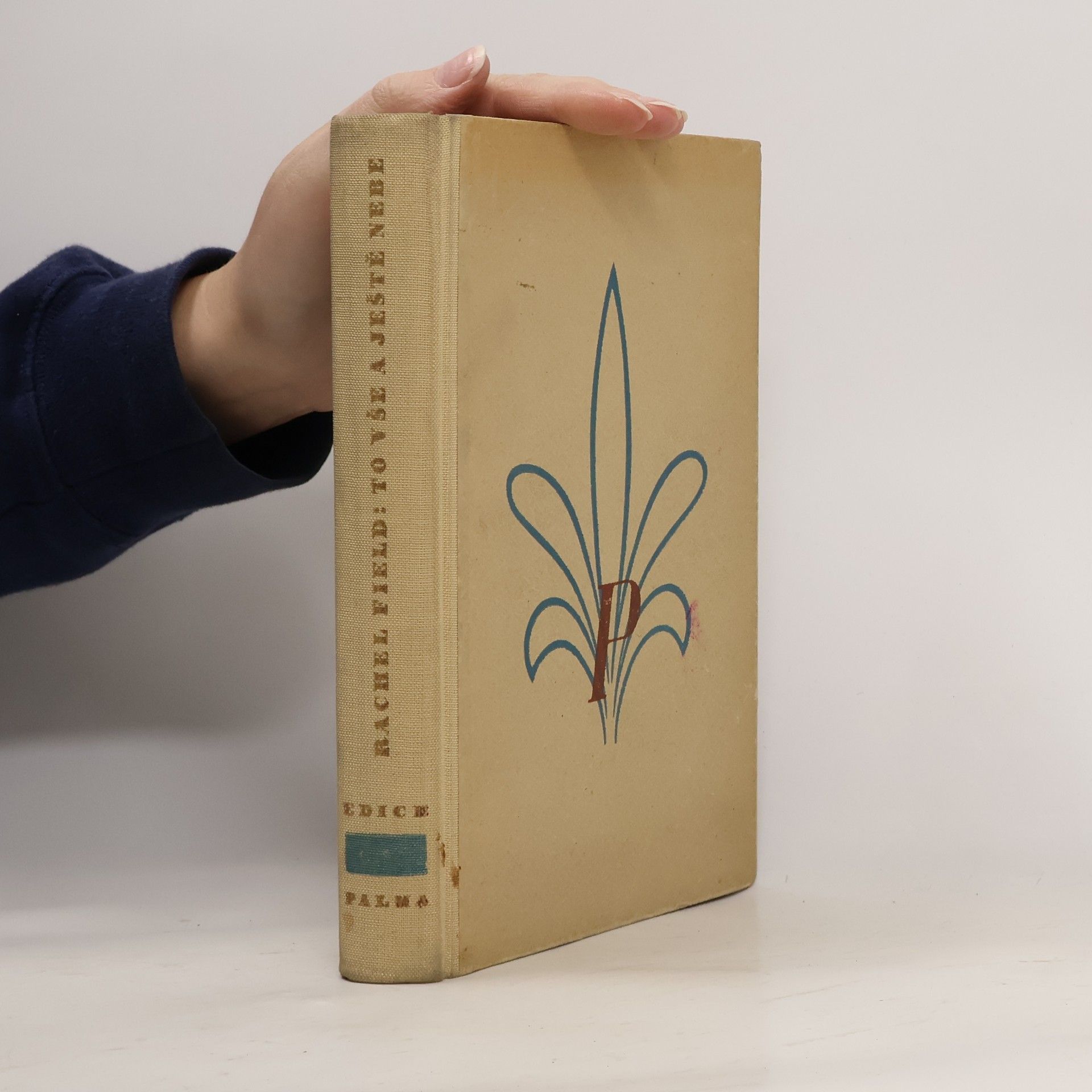 To vše a ještě nebe