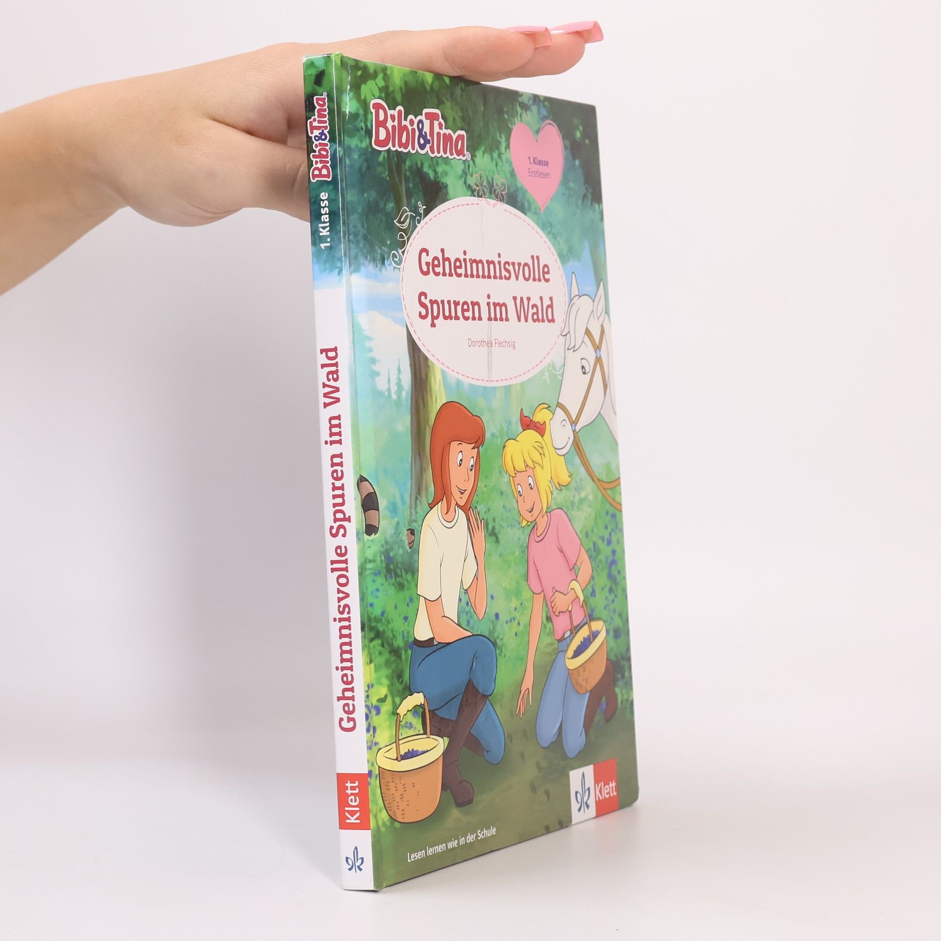 Dorothea Flechsig Geheimnisvolle Spuren im Wald