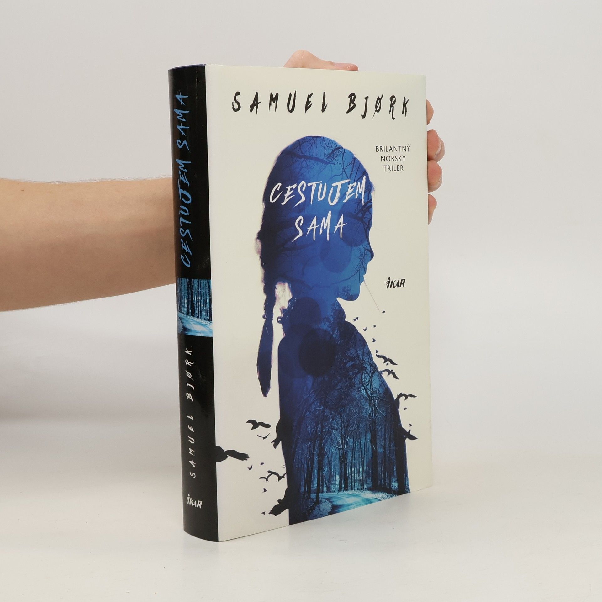 Samuel Bjork Cestujem sama