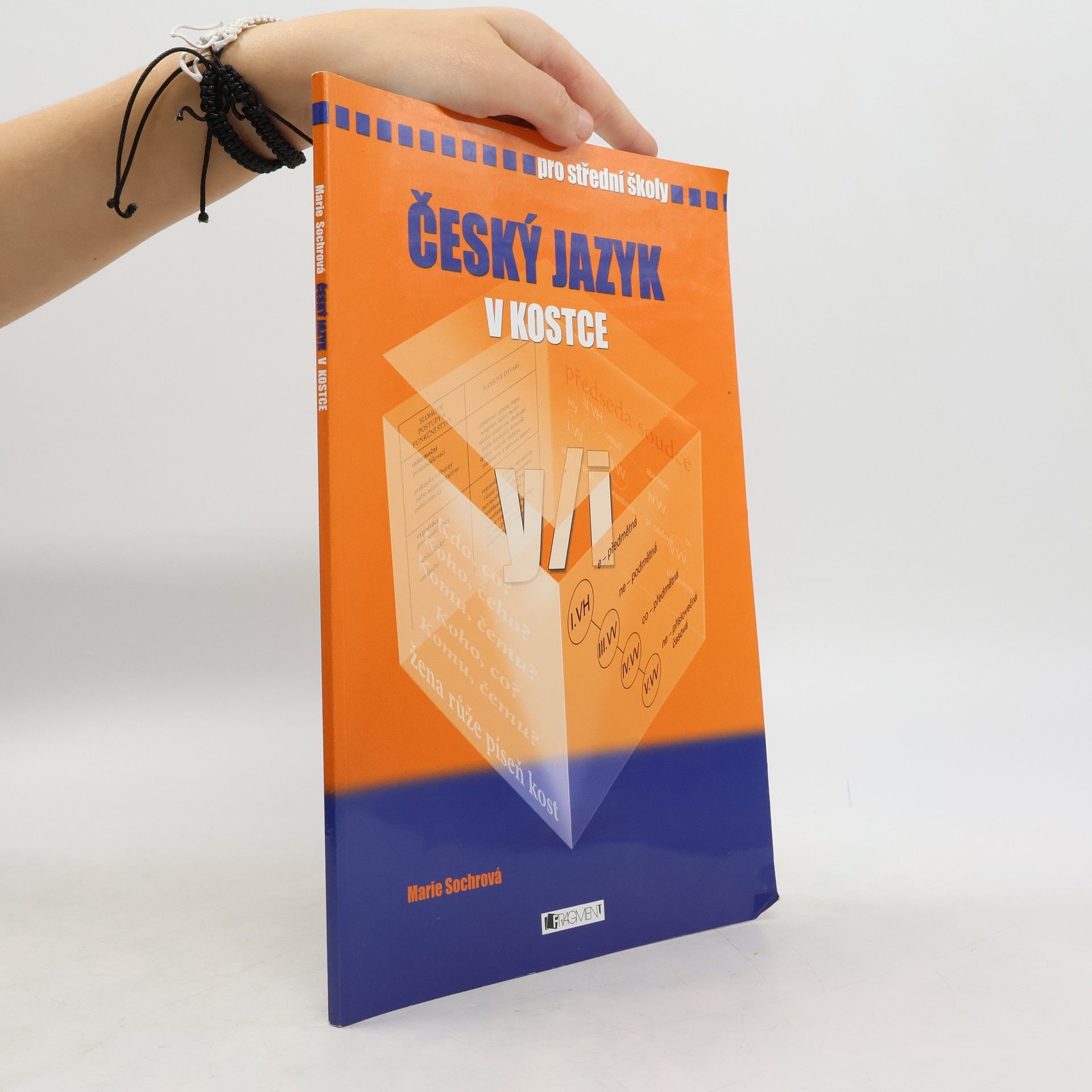 Marie Sochrová Český jazyk v kostce : pro střední školy