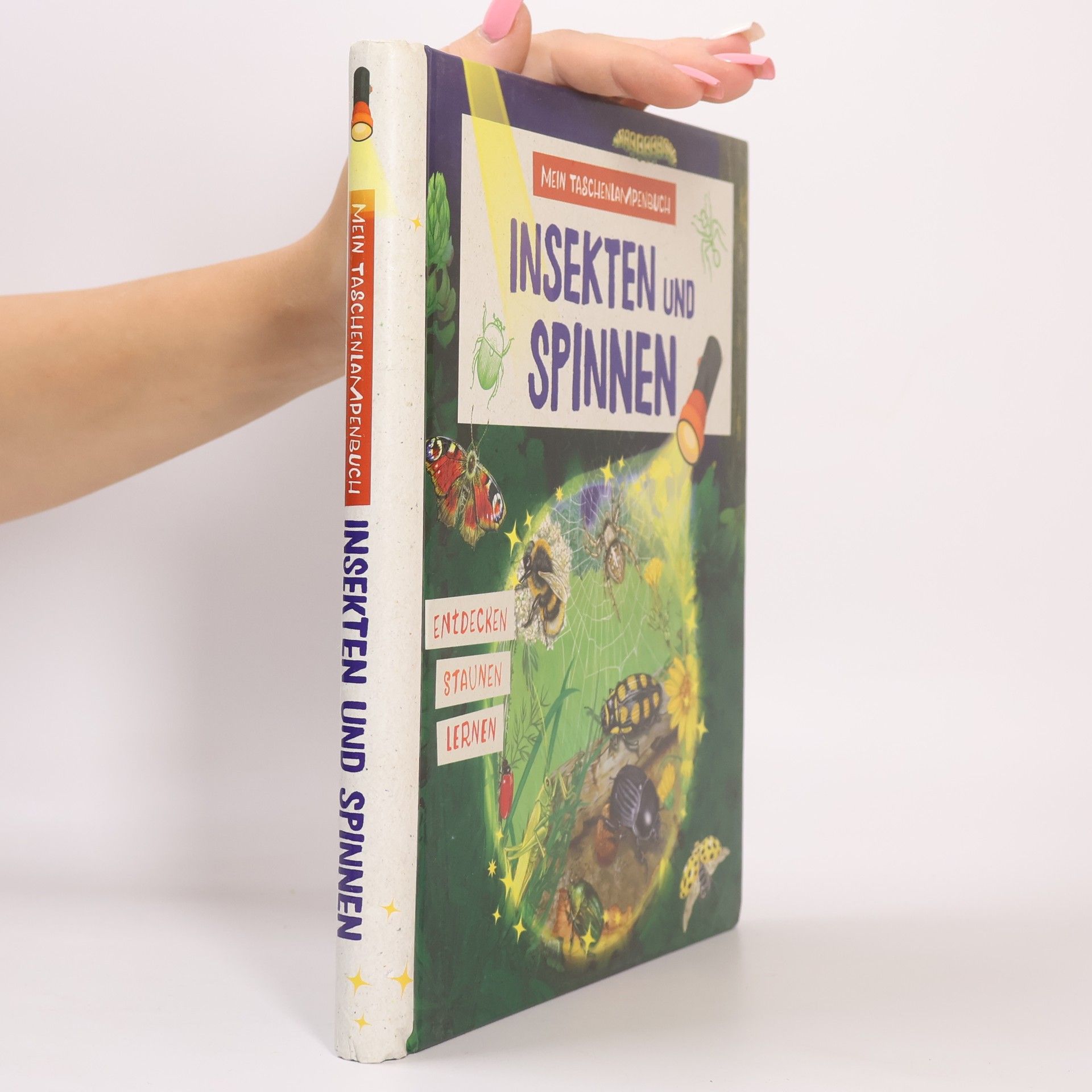 Kolektiv autorů Mein Taschenlampenbuch Insekten und Spinnen