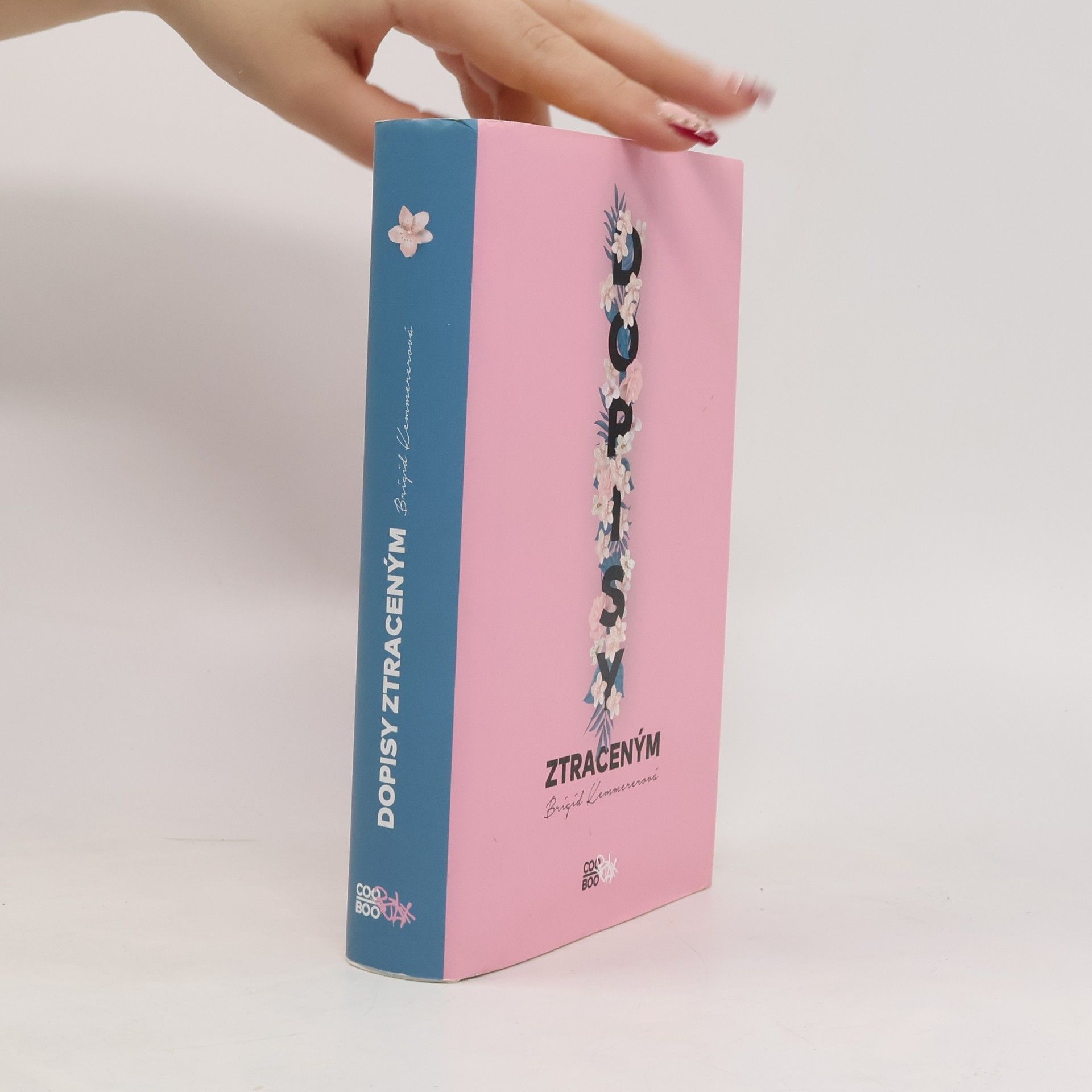 Brigid Kemmerer Dopisy ztraceným