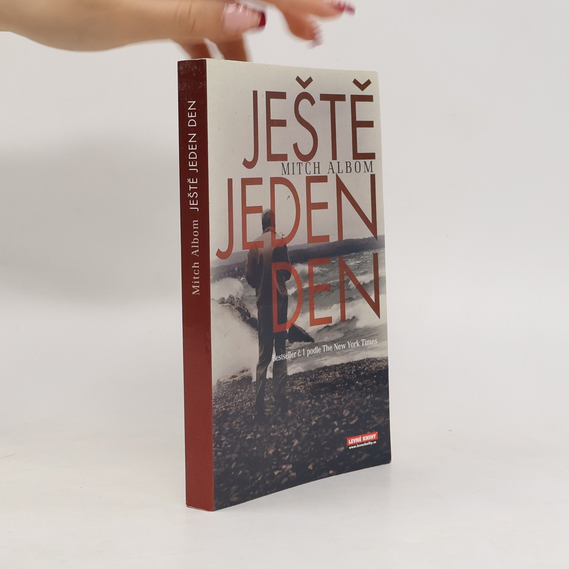 Mitch Albom Ještě jeden den