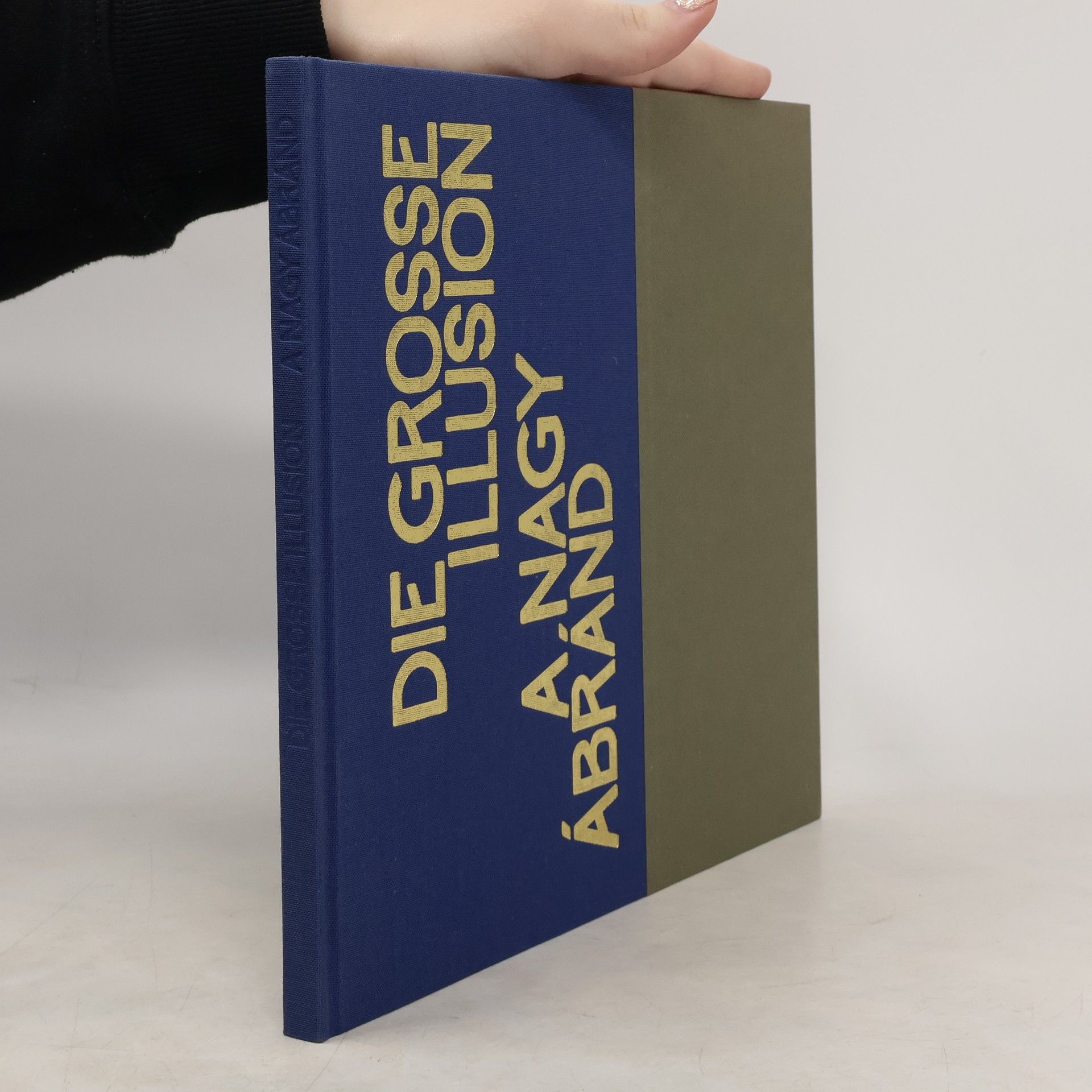 Collectif d'auteurs Die grosse Illusion Mitteleuropa im ersten Weltkrieg oder: Die Brille des Irrealen