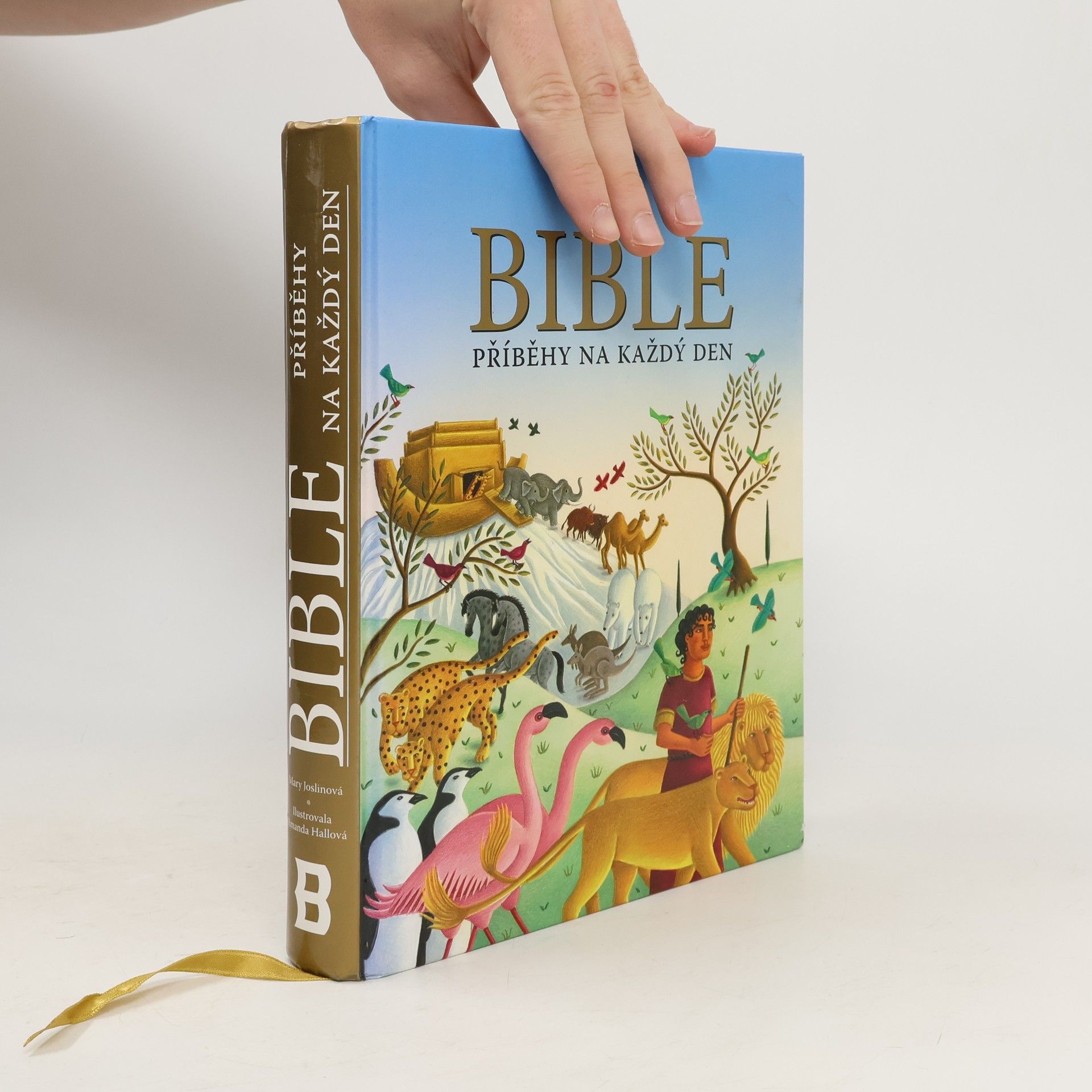 Bible : příběhy na každý den
