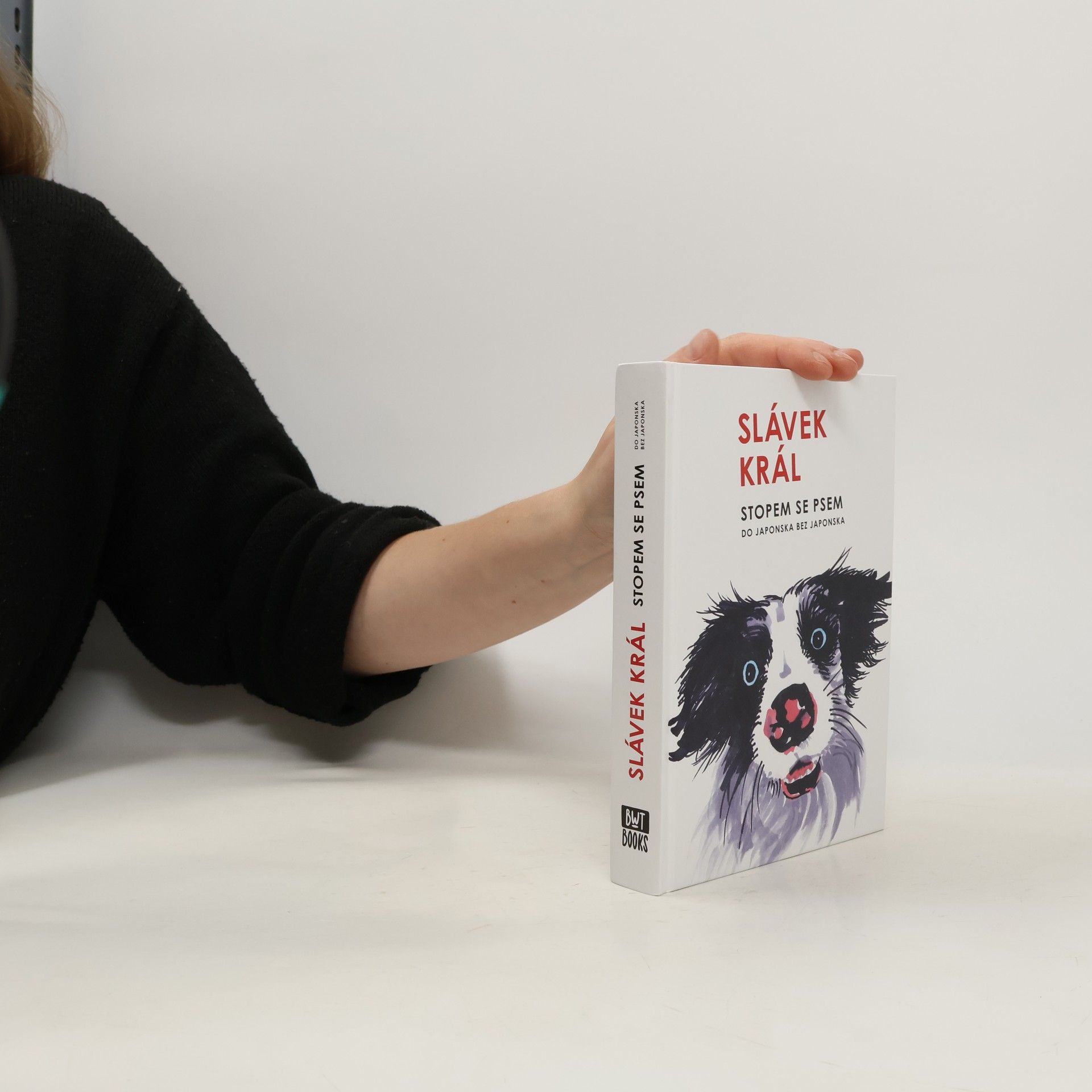 Slávek Král Stopem se psem : do Japonska bez Japonska