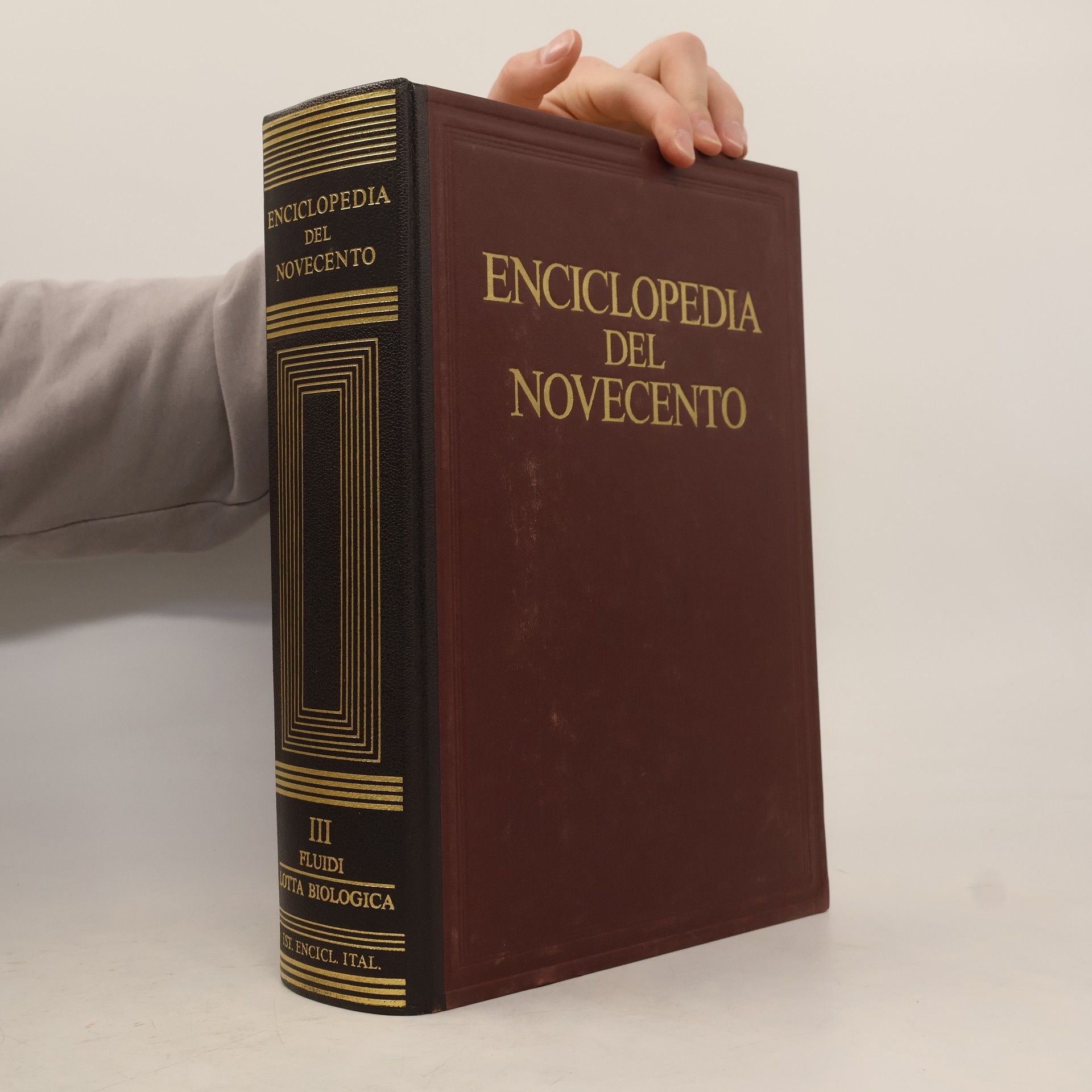 AA.VV. Enciclopedia del Novecento III