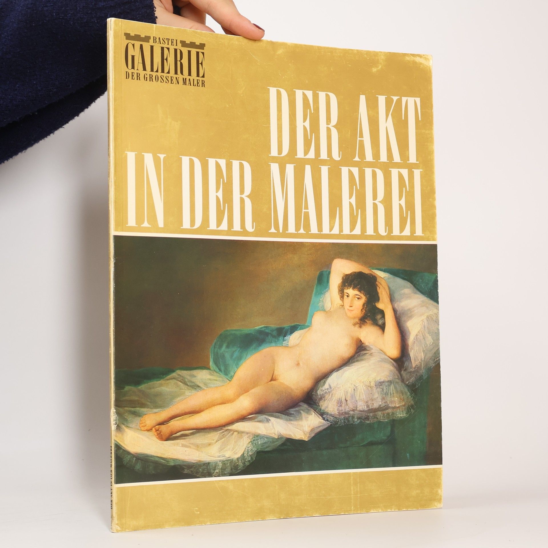 Collectif d'auteurs Der Akt in der Malerei