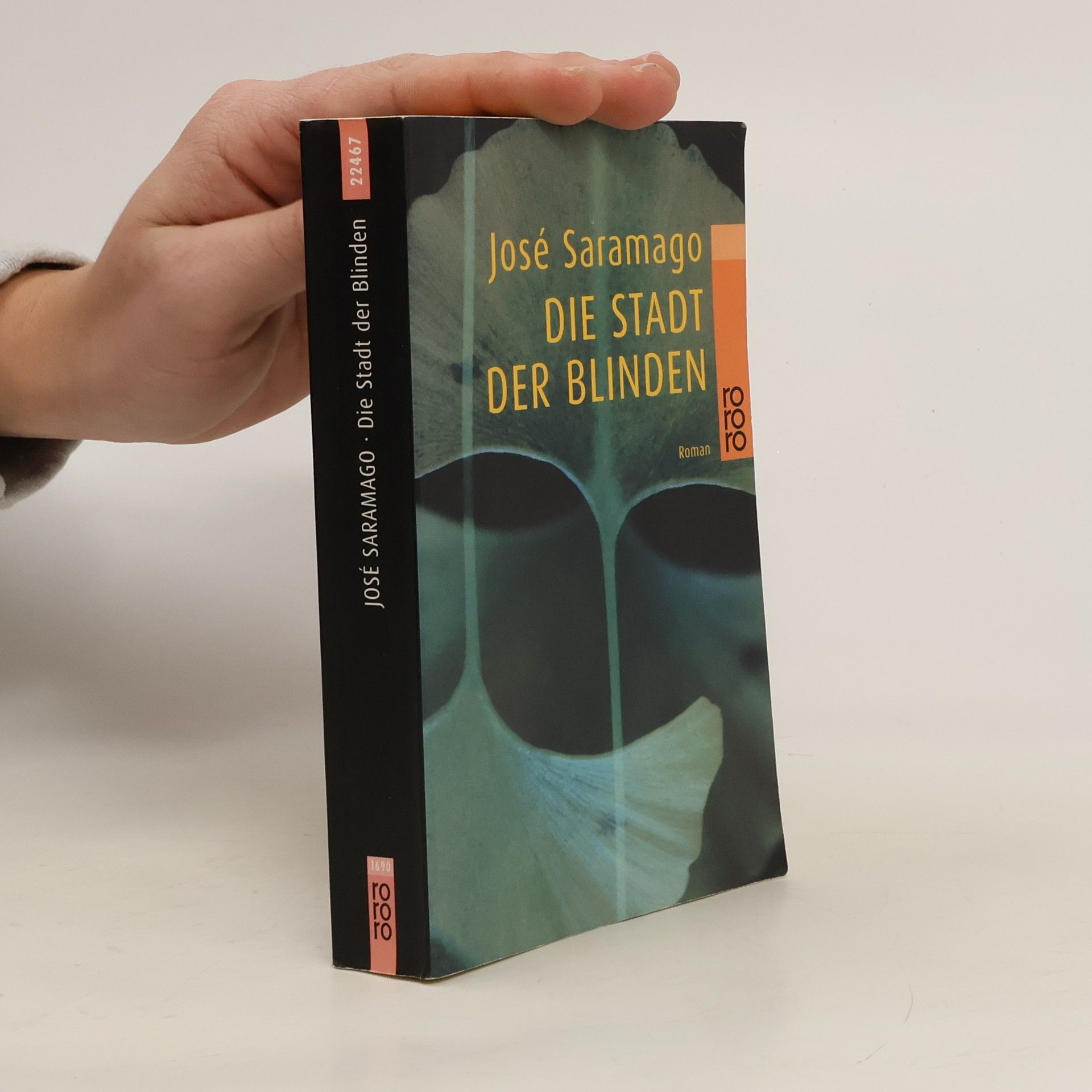 José Saramago Die Stadt der Blinden