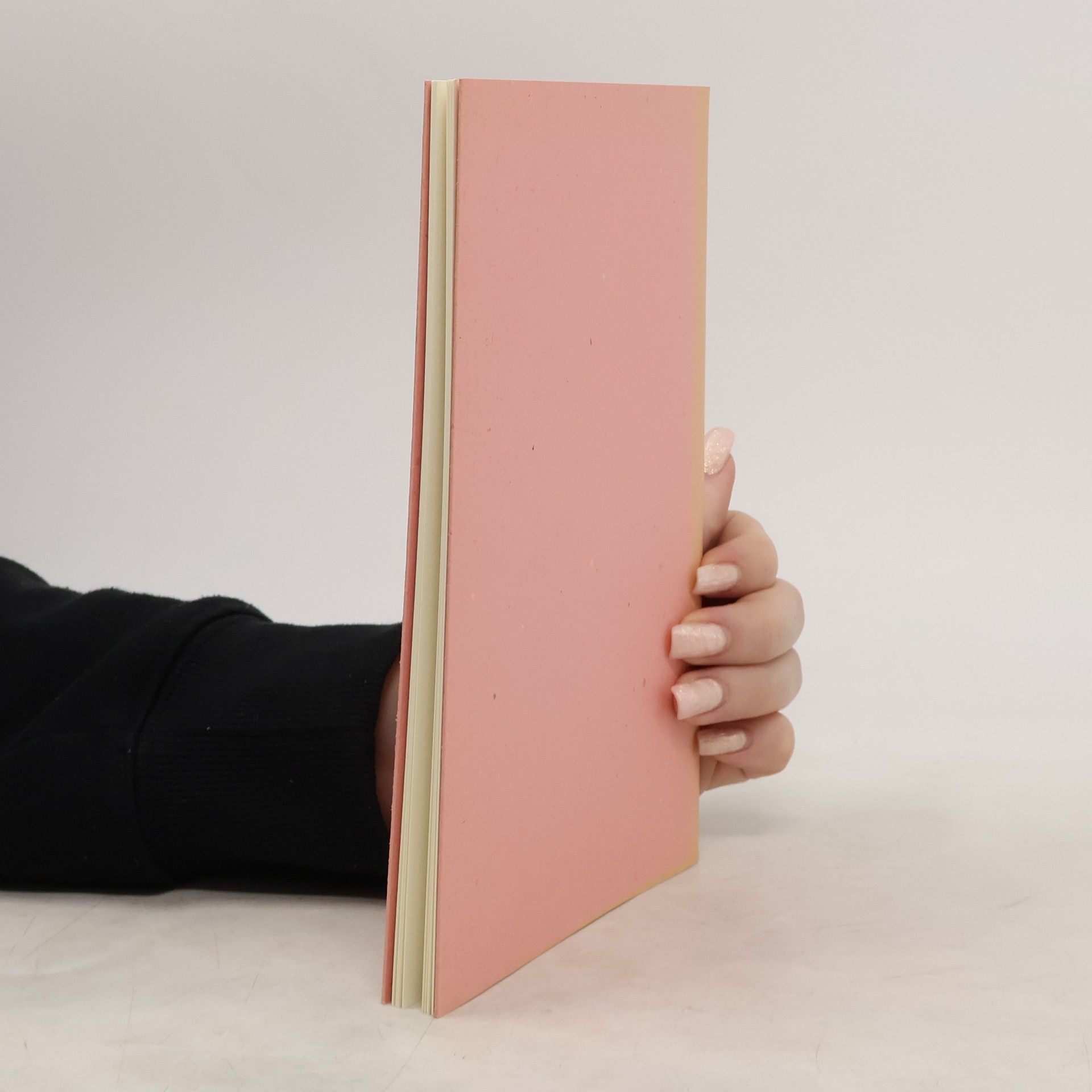 Huib van Krimpen Ein Buch ist erst ein Buch, wenn es ein Buch geworden ist