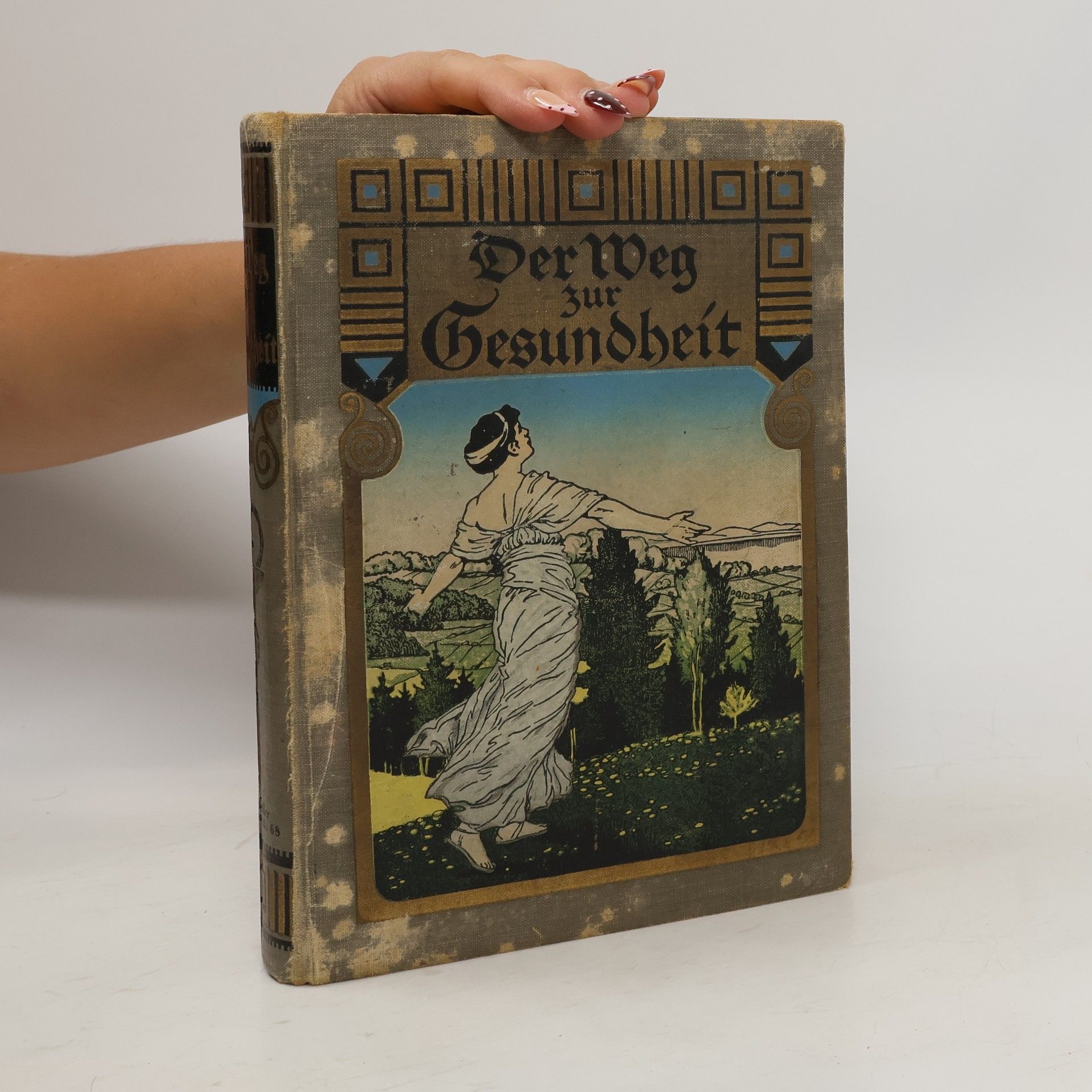 Autorenkollektiv Der Weg zur Gesundheit 2. Band