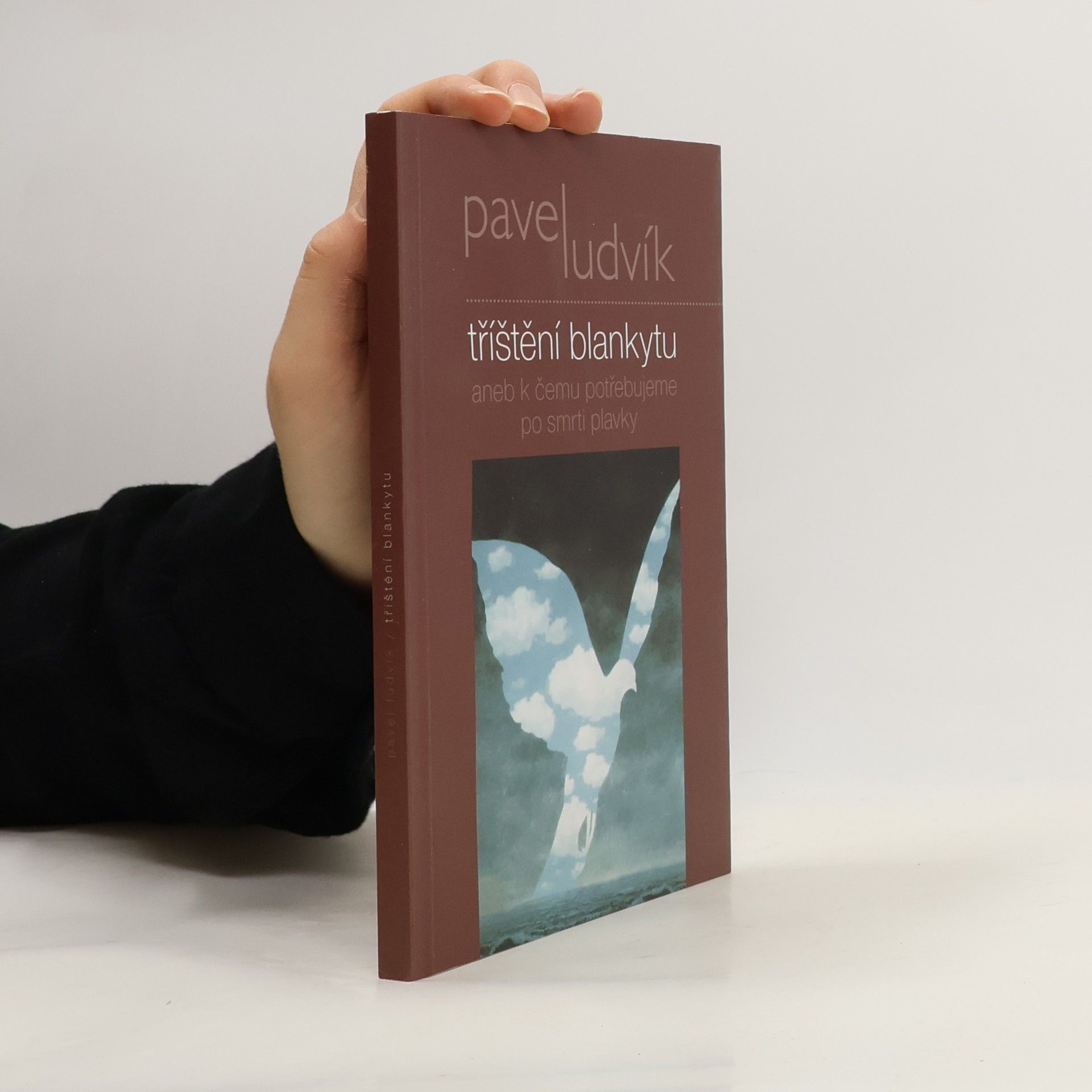 Tříštění blankytu aneb k čemu potřebujeme po smrti plavky