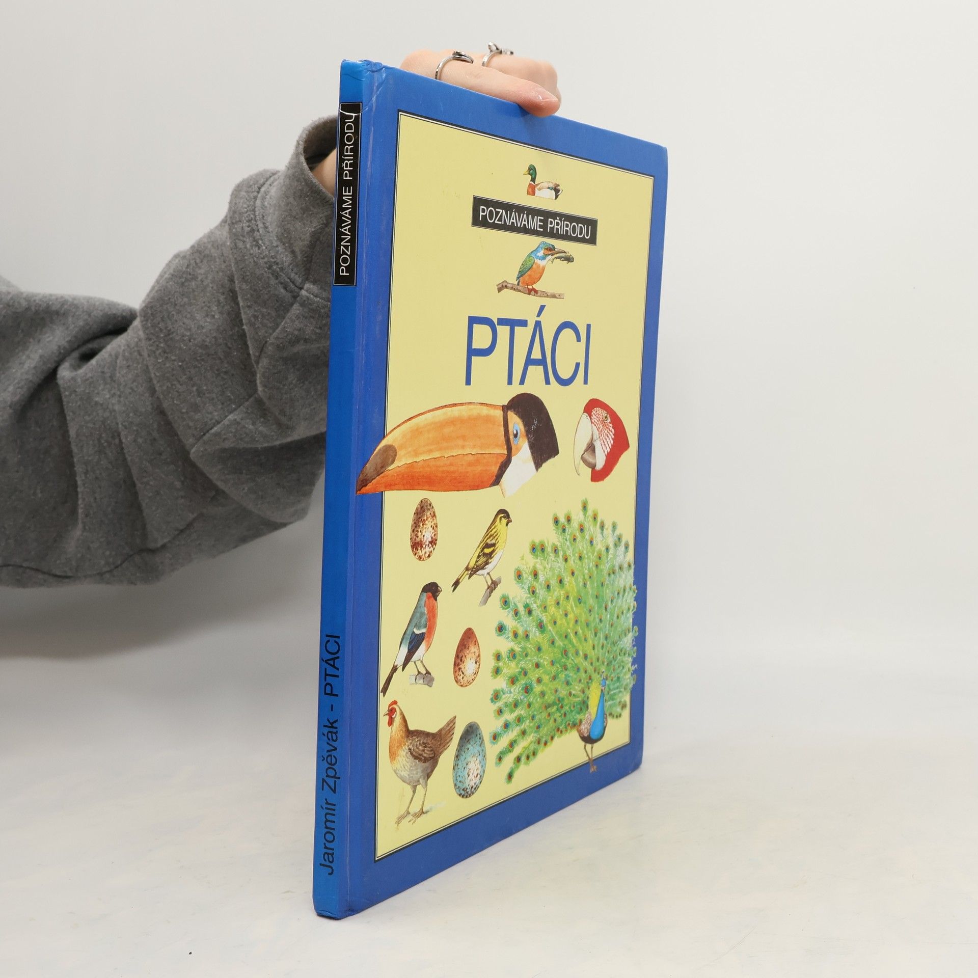 Jaromír Zpěvák Ptáci