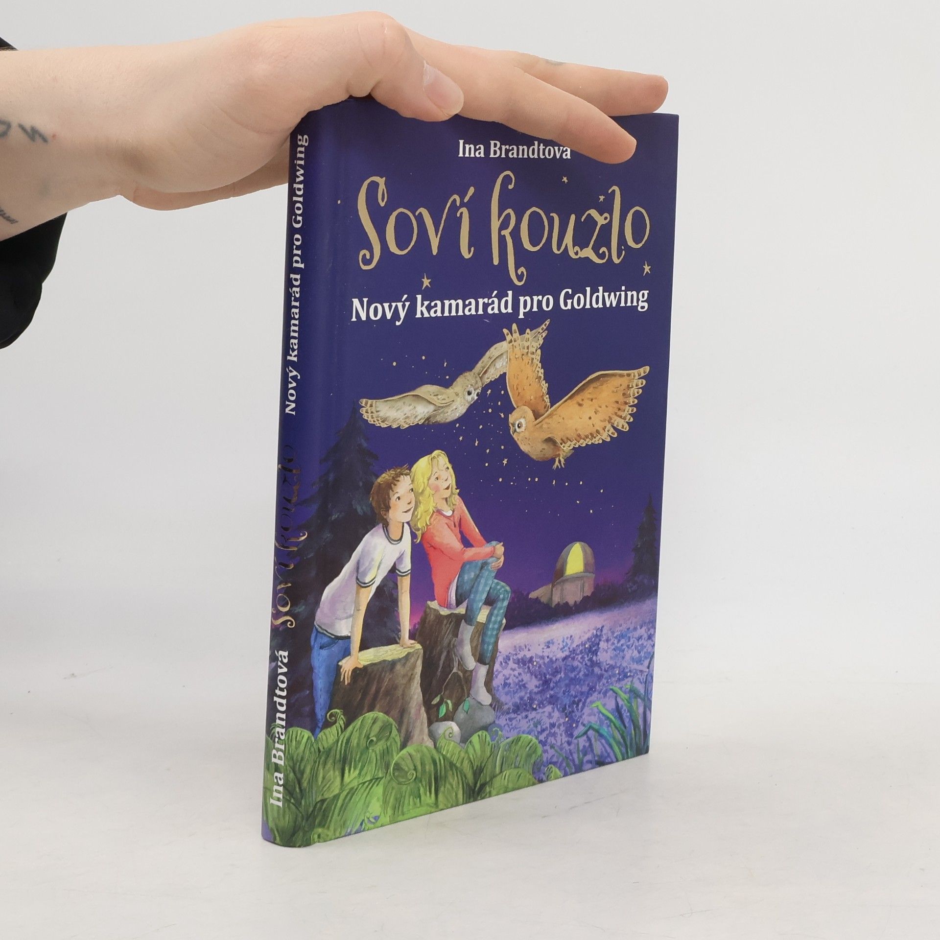 Soví kouzlo. Nový kamarád pro Goldwing