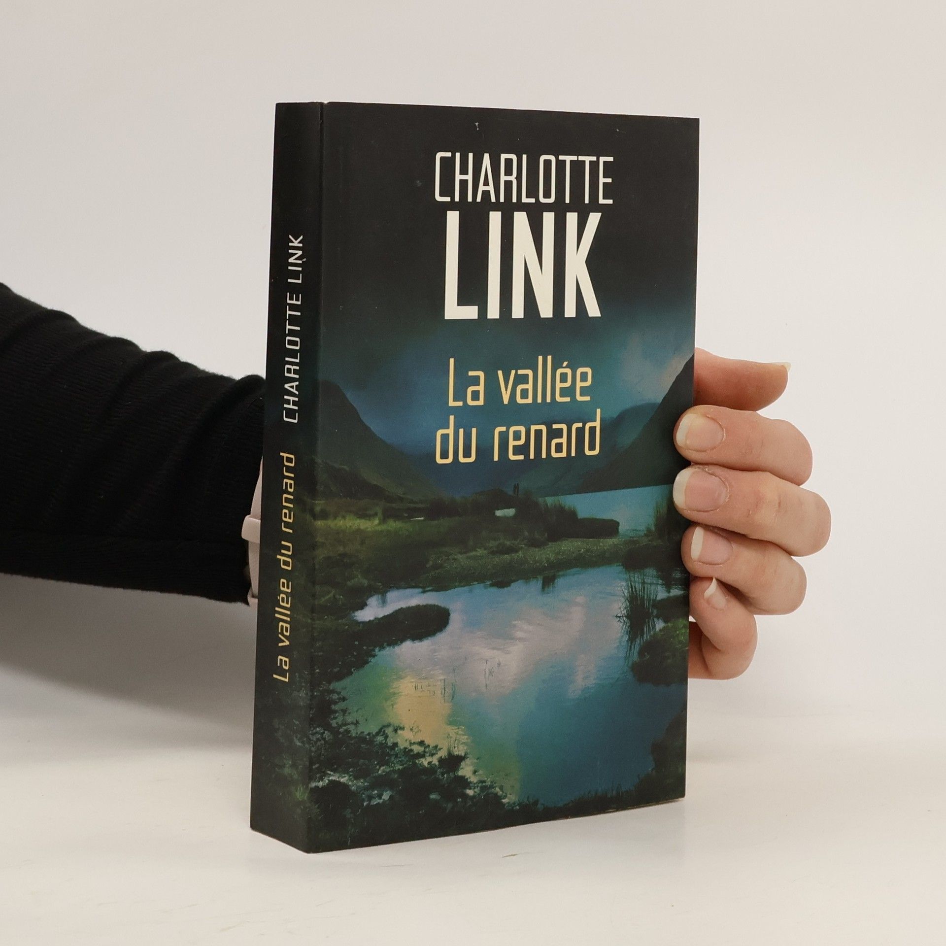 Charlotte Link La vallée du renard