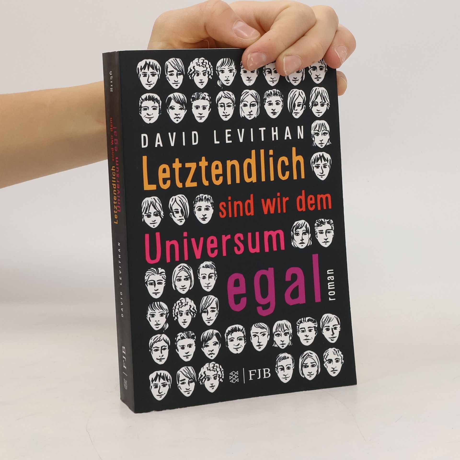 David Levithan Letztendlich sind wir dem Universum egal
