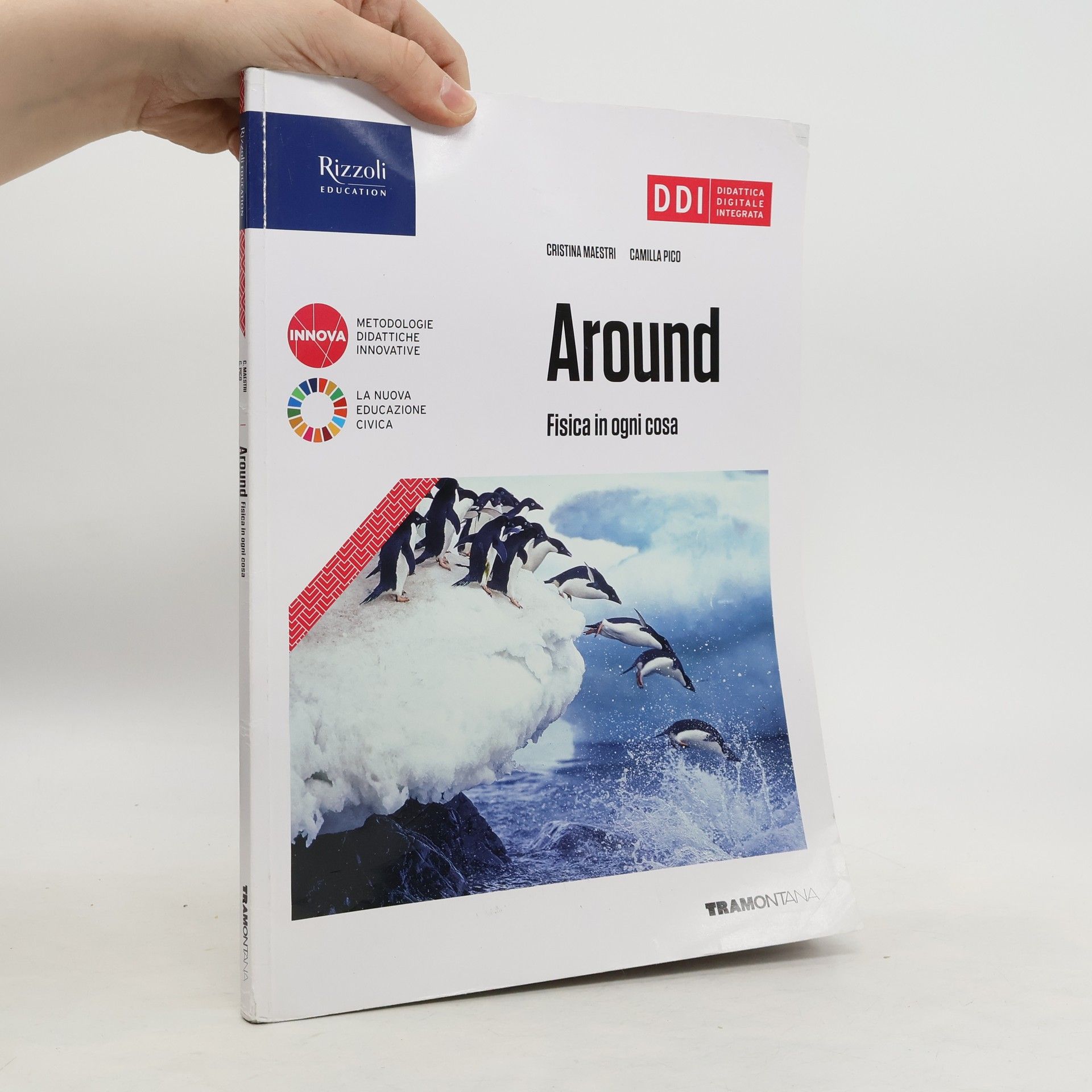 Cristina Maestri Around fisica in ogni cosa