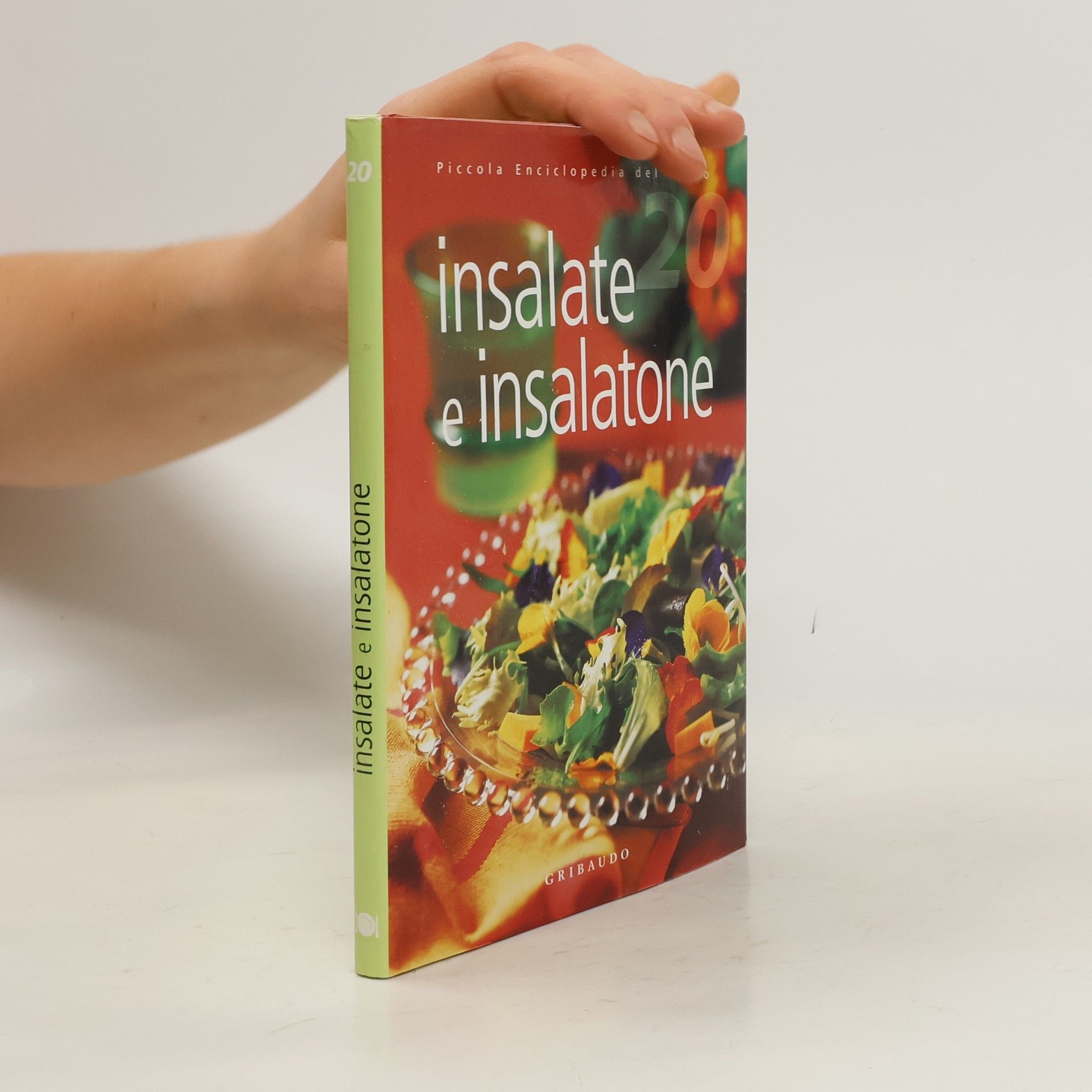 Auteurscollectief Insalate e insalatone