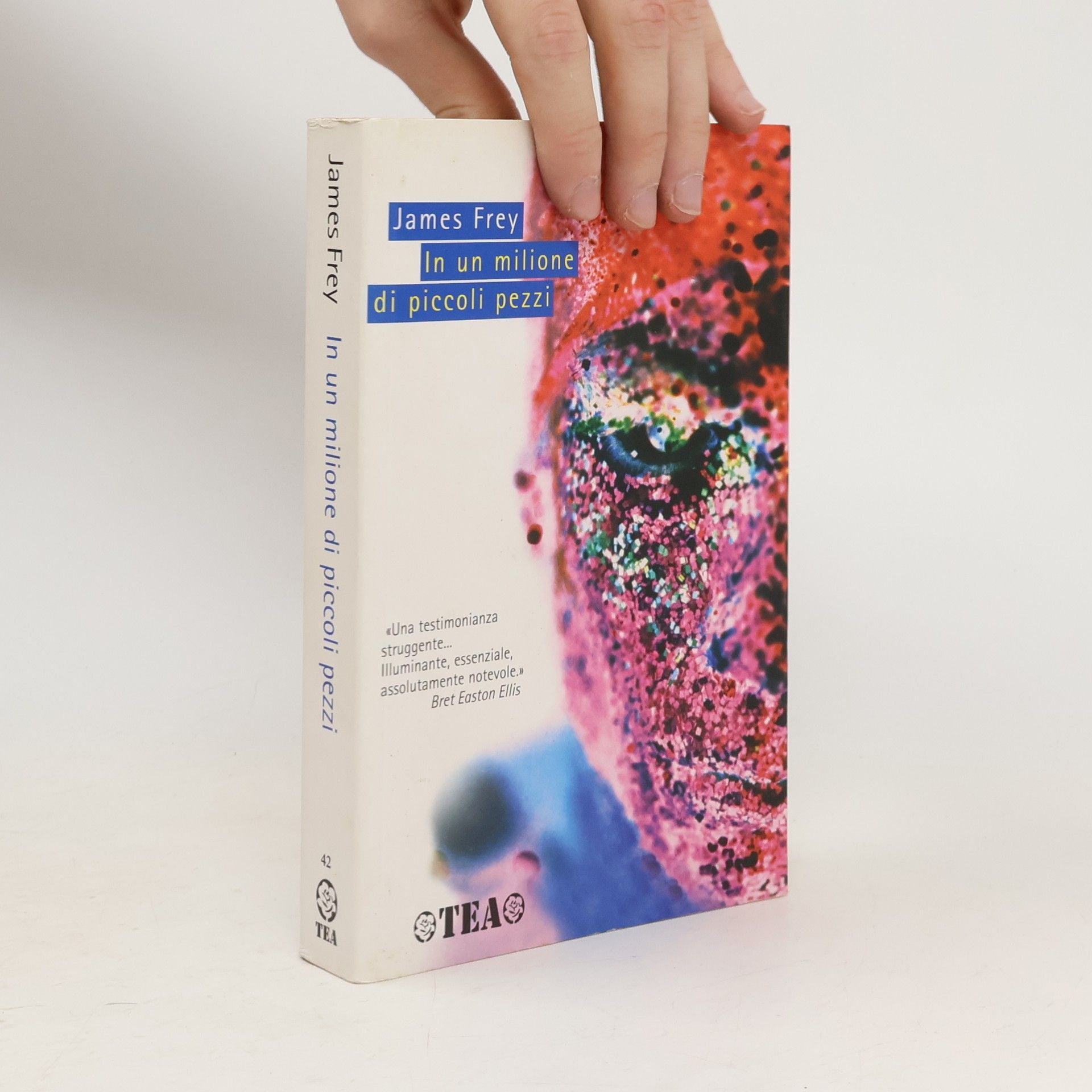 James Frey In un milione di piccoli pezzi