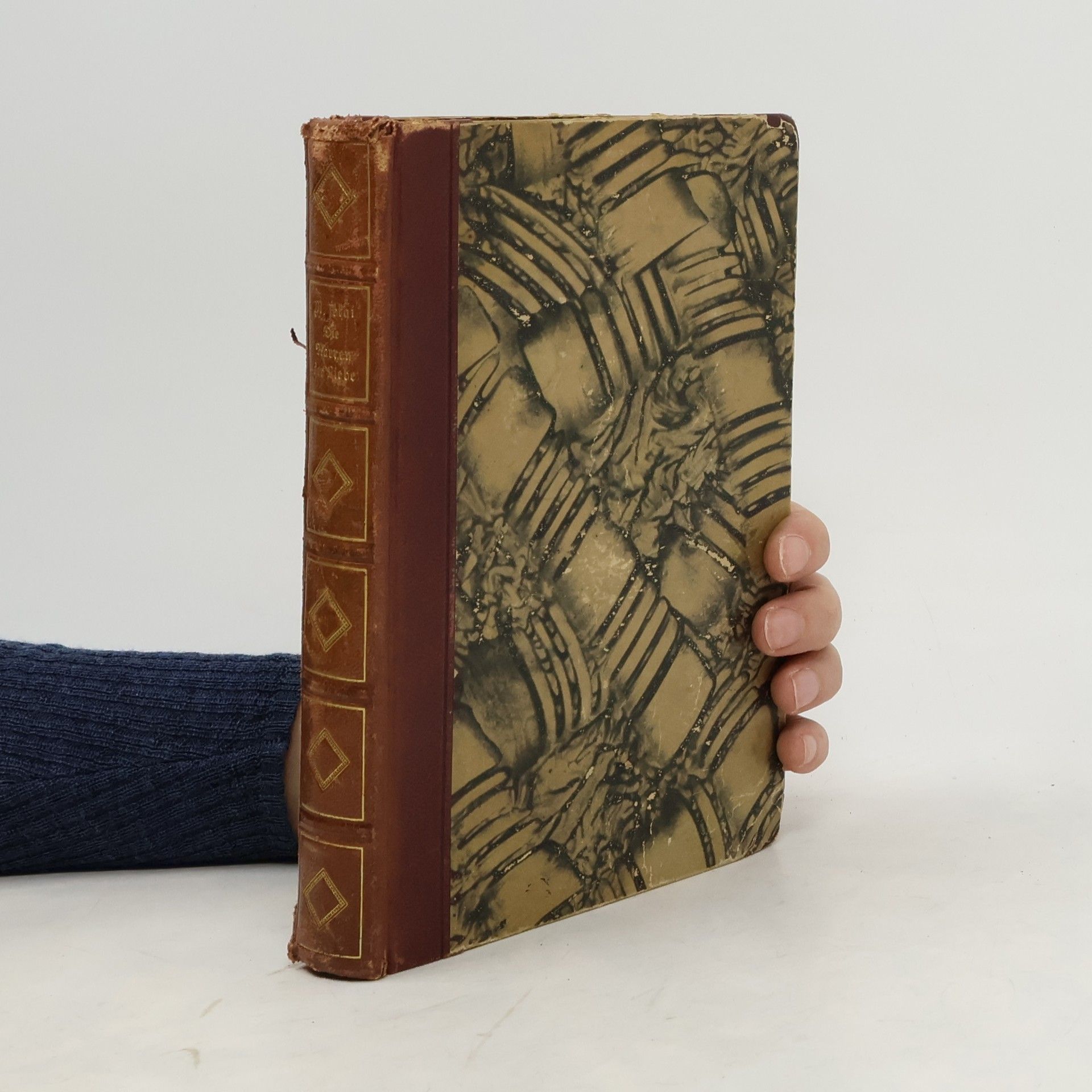 Maurus Jókai Die Narren der Liebe