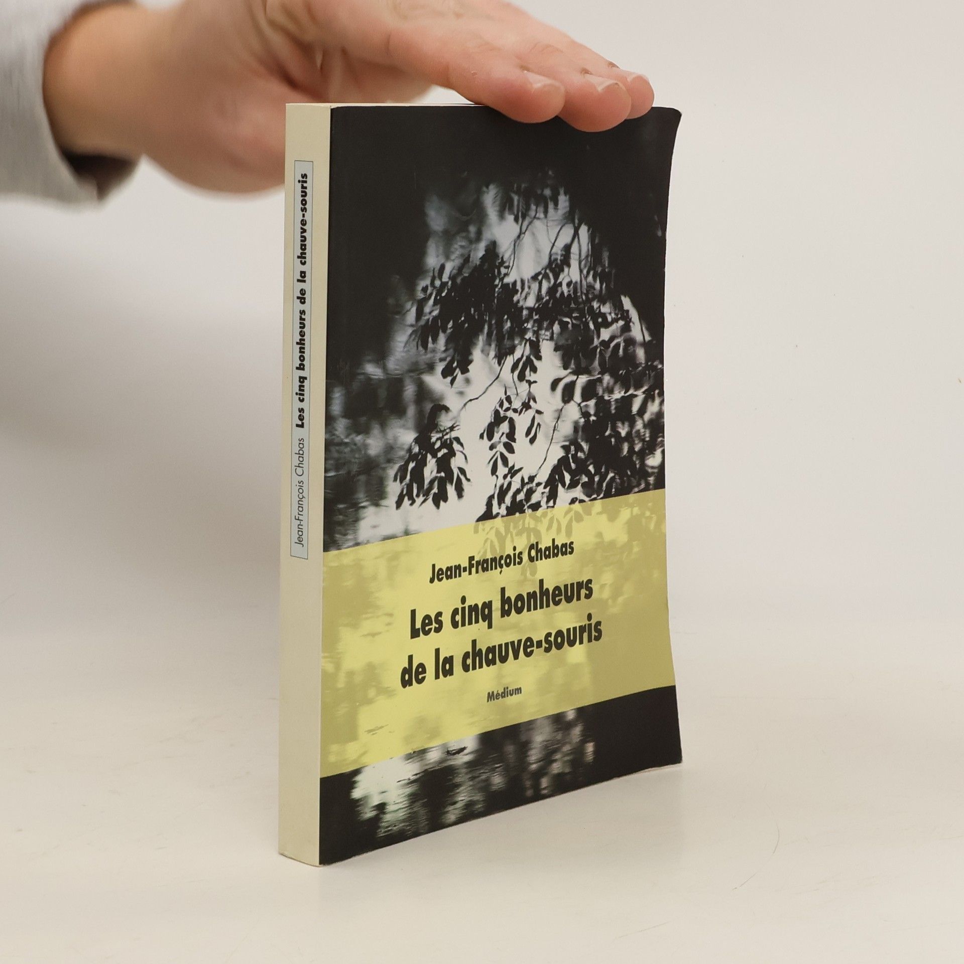 Jean-François Chabas Les cinq bonheurs de la chauve-souris