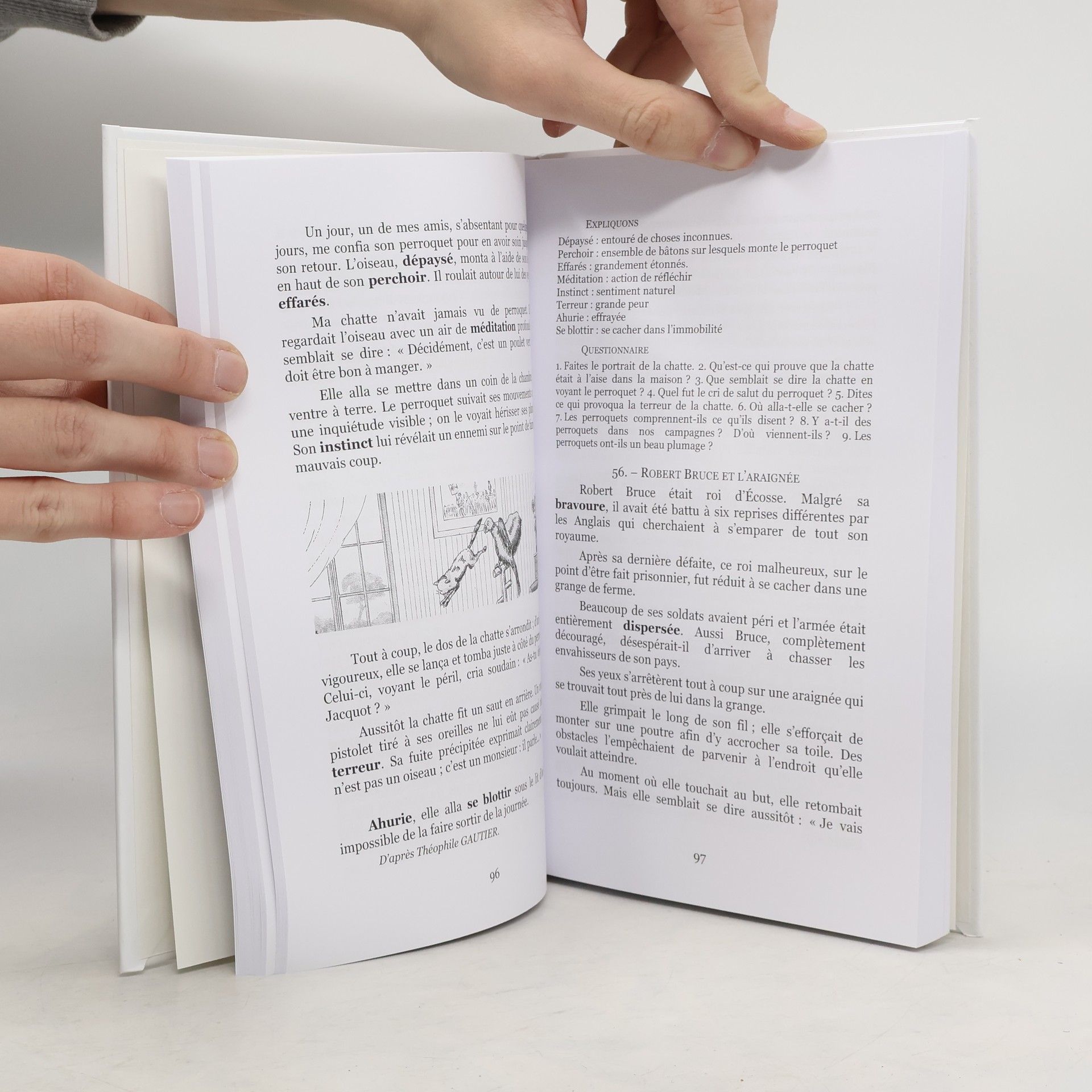 Collectif d'auteurs Premières lectures. Cours élémentaire