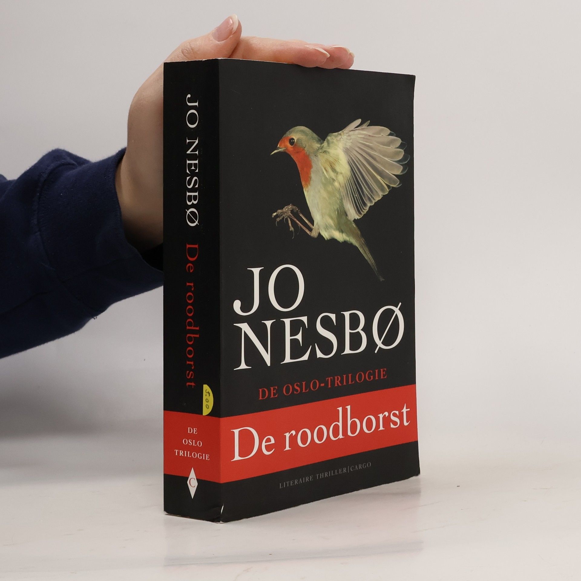 Annelies de Vroom De roodborst
