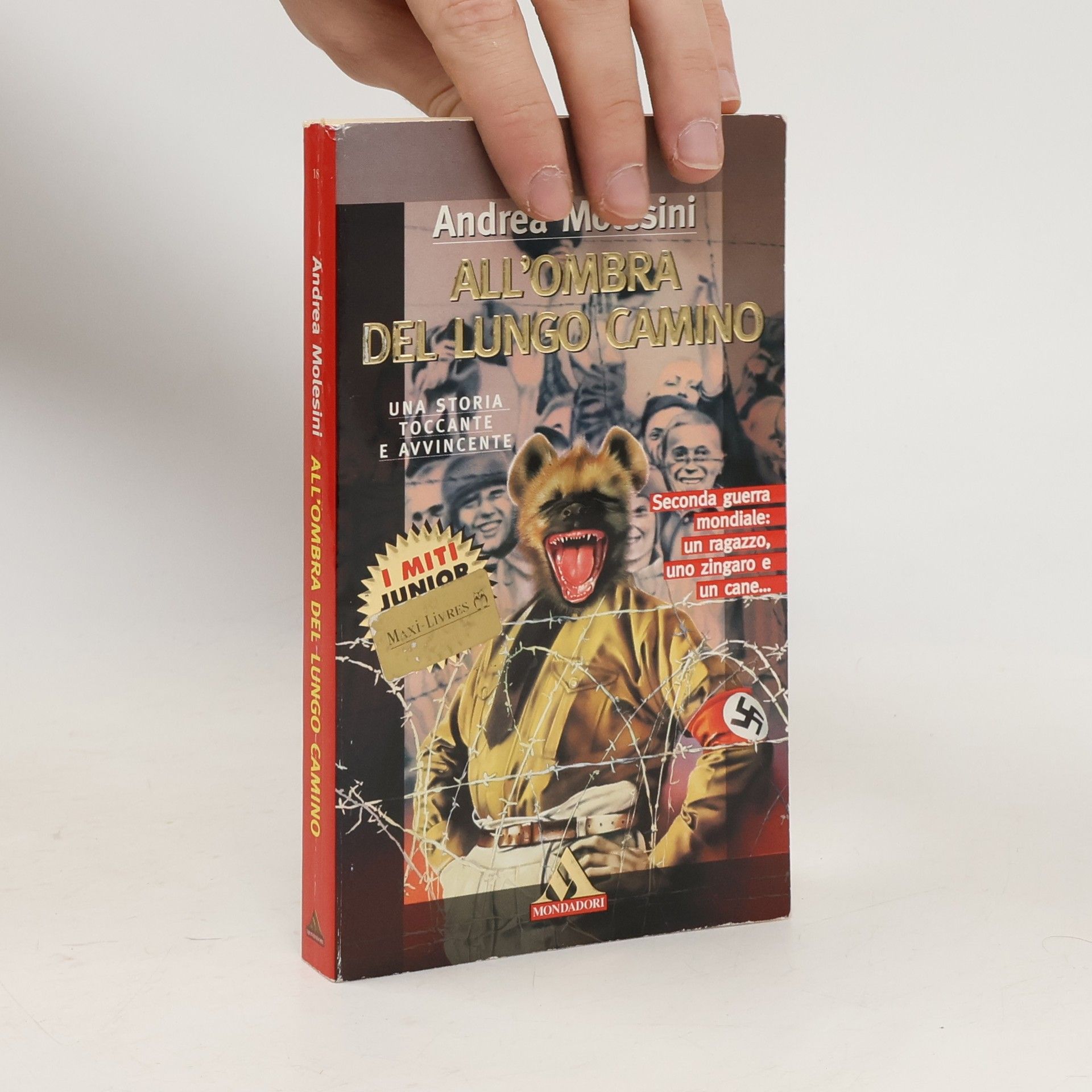 All'ombra del lungo camino