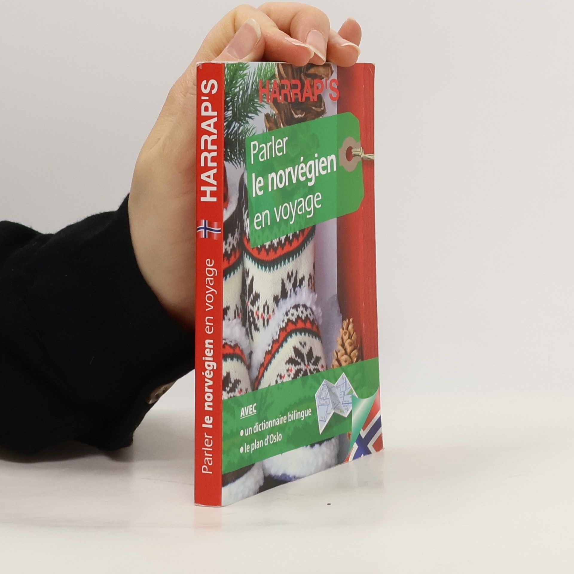 Parler le norvégien en voyage