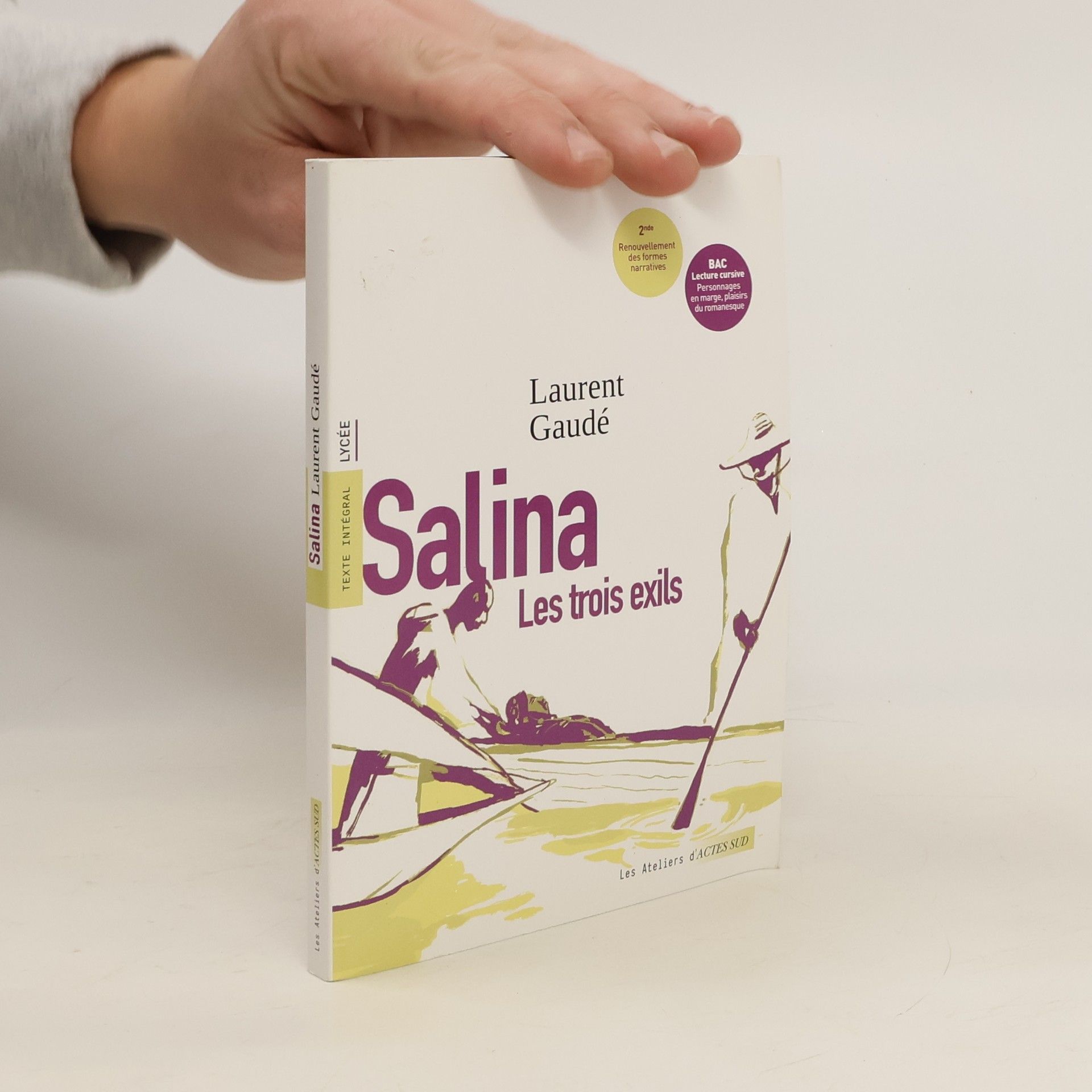 Laurent Gaudé Salina