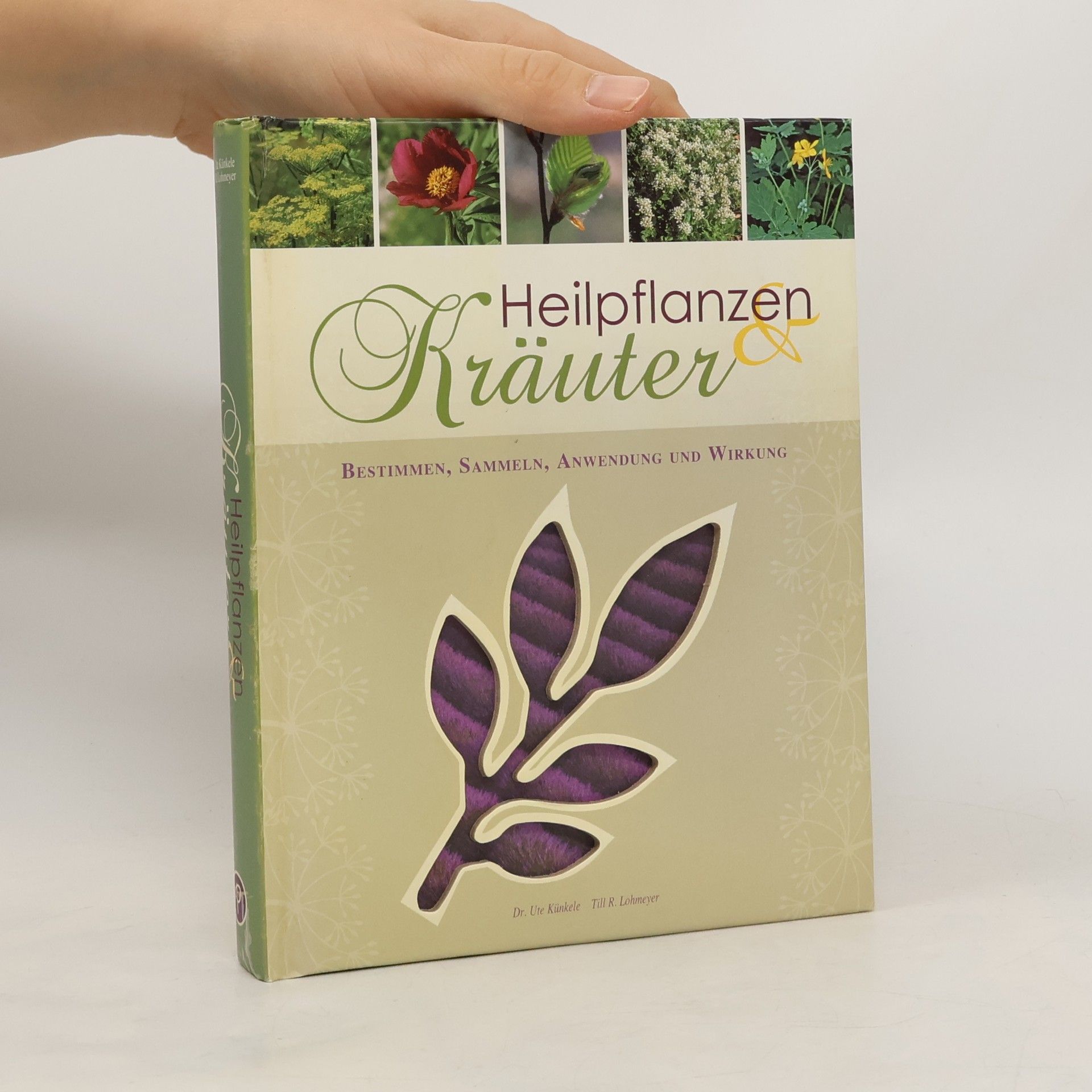 Dr. Ute Künkele Heilpflanzen & Kräuter: Bestimmen, Sammeln, Anwendung und Wirkung