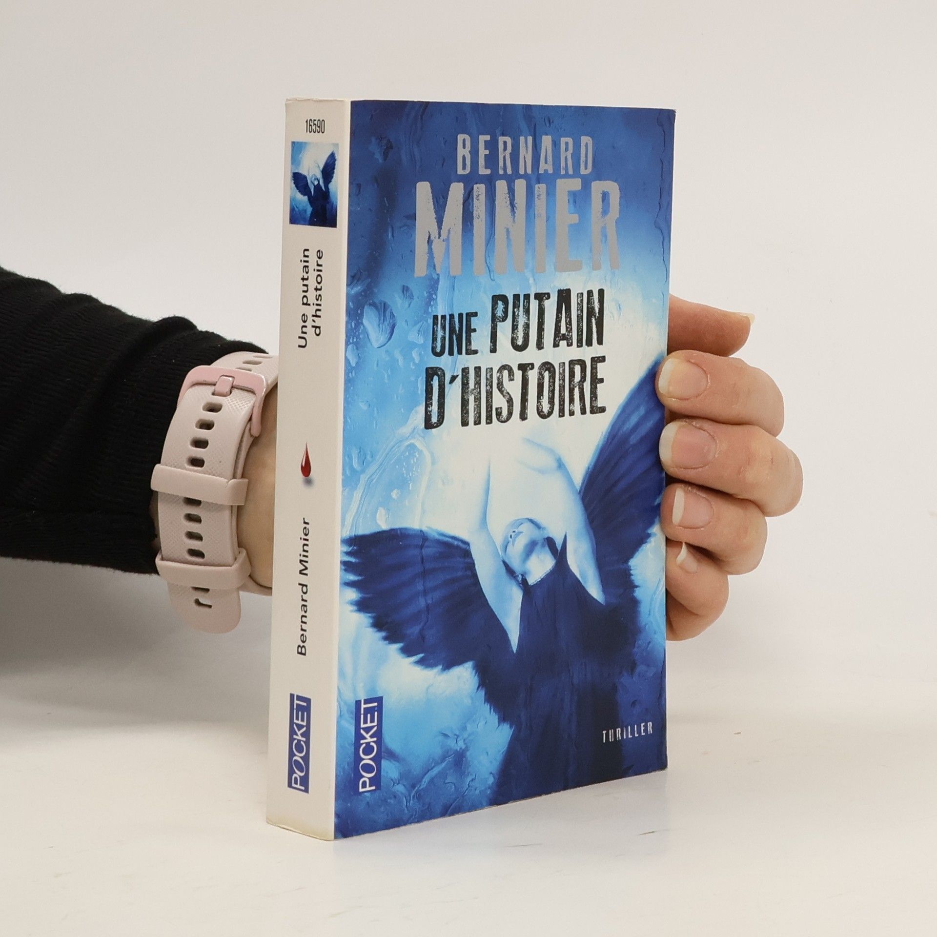 Bernard Minier Une Putain D'Histoire