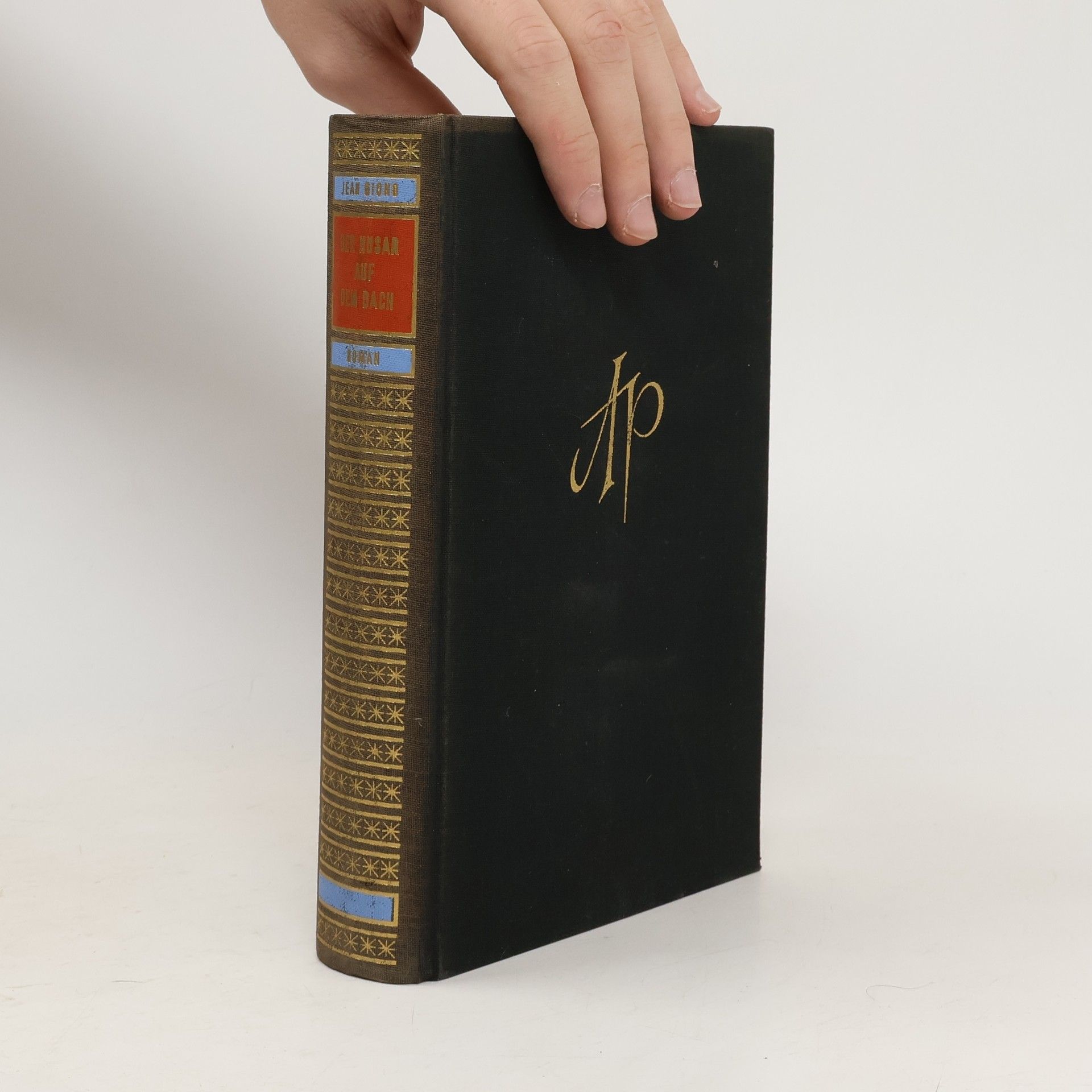 Jean Giono Der Husar auf dem Dach