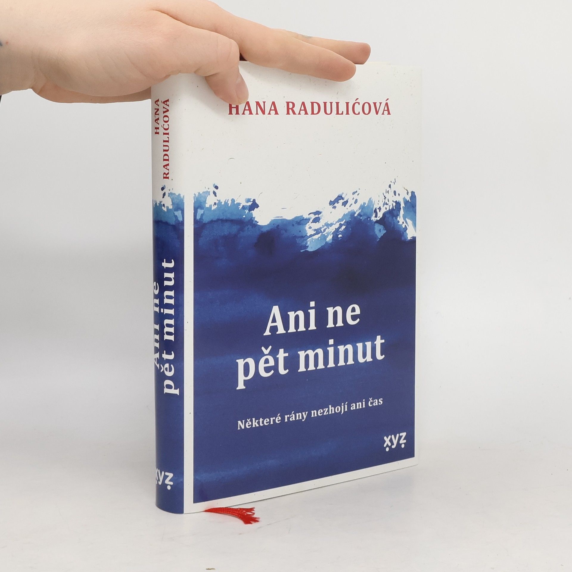 Hana Radulić Ani ne pět minut : některé rány nezhojí ani čas