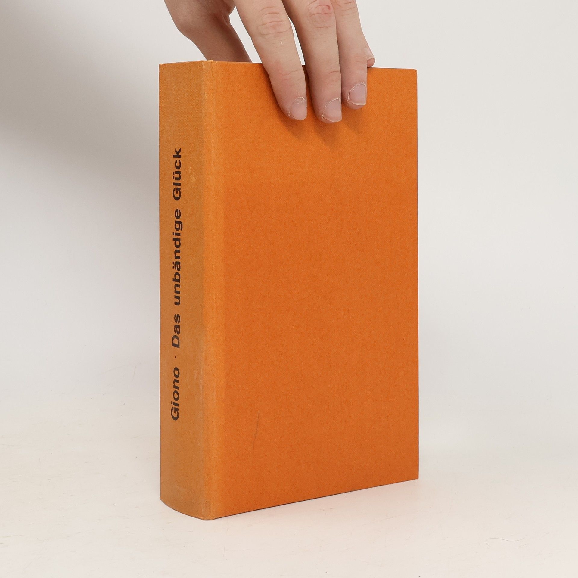 Autorenkollektiv Das unbändige Glück