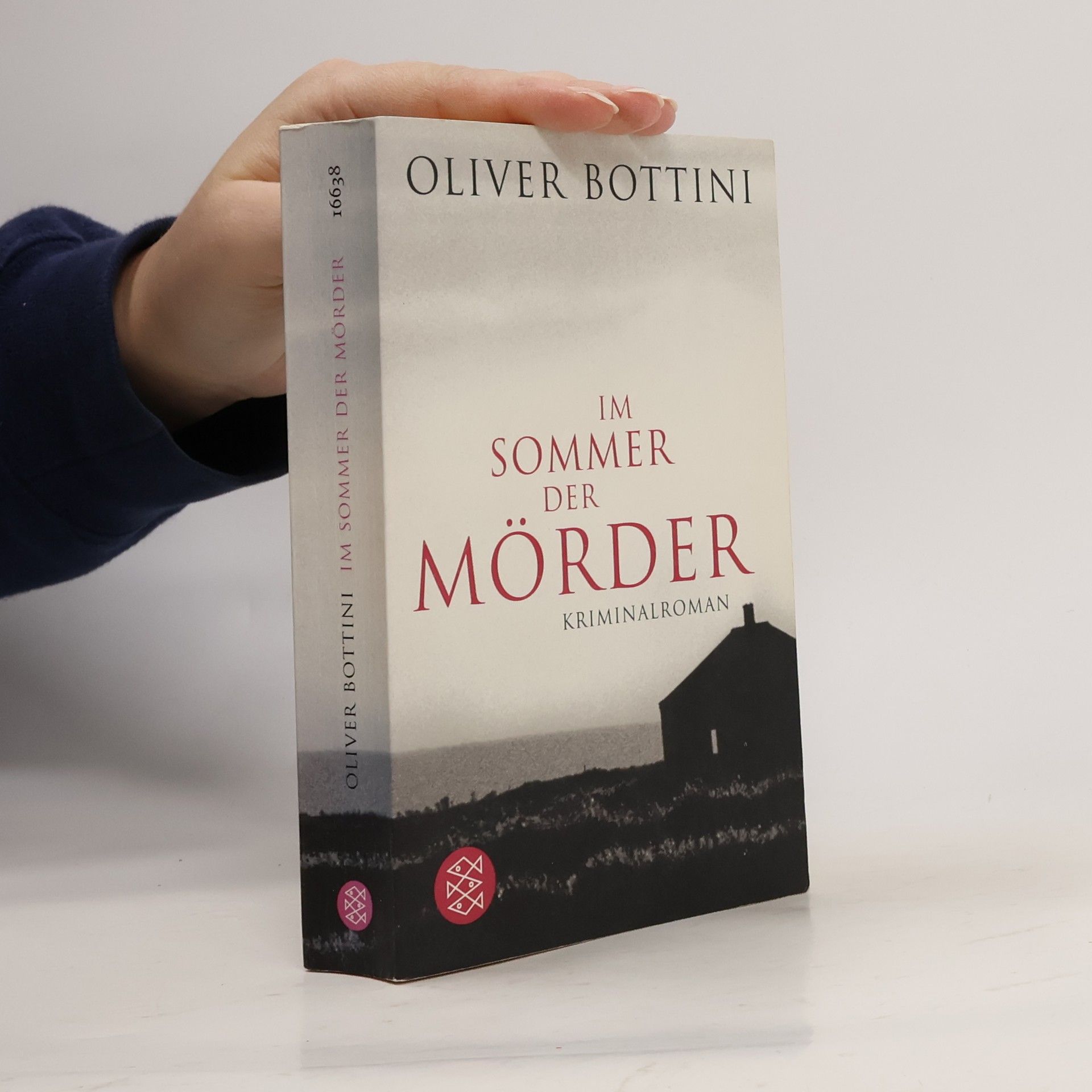 Oliver Bottini Im Sommer der Mörder