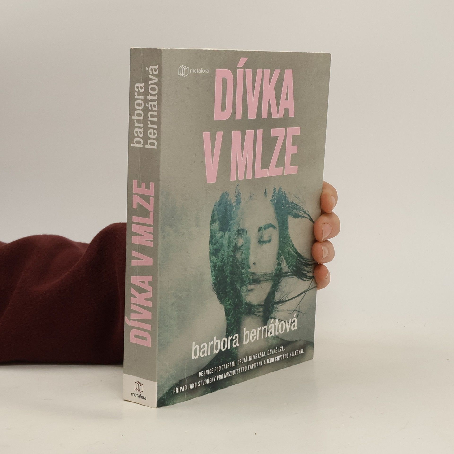 Dívka v mlze