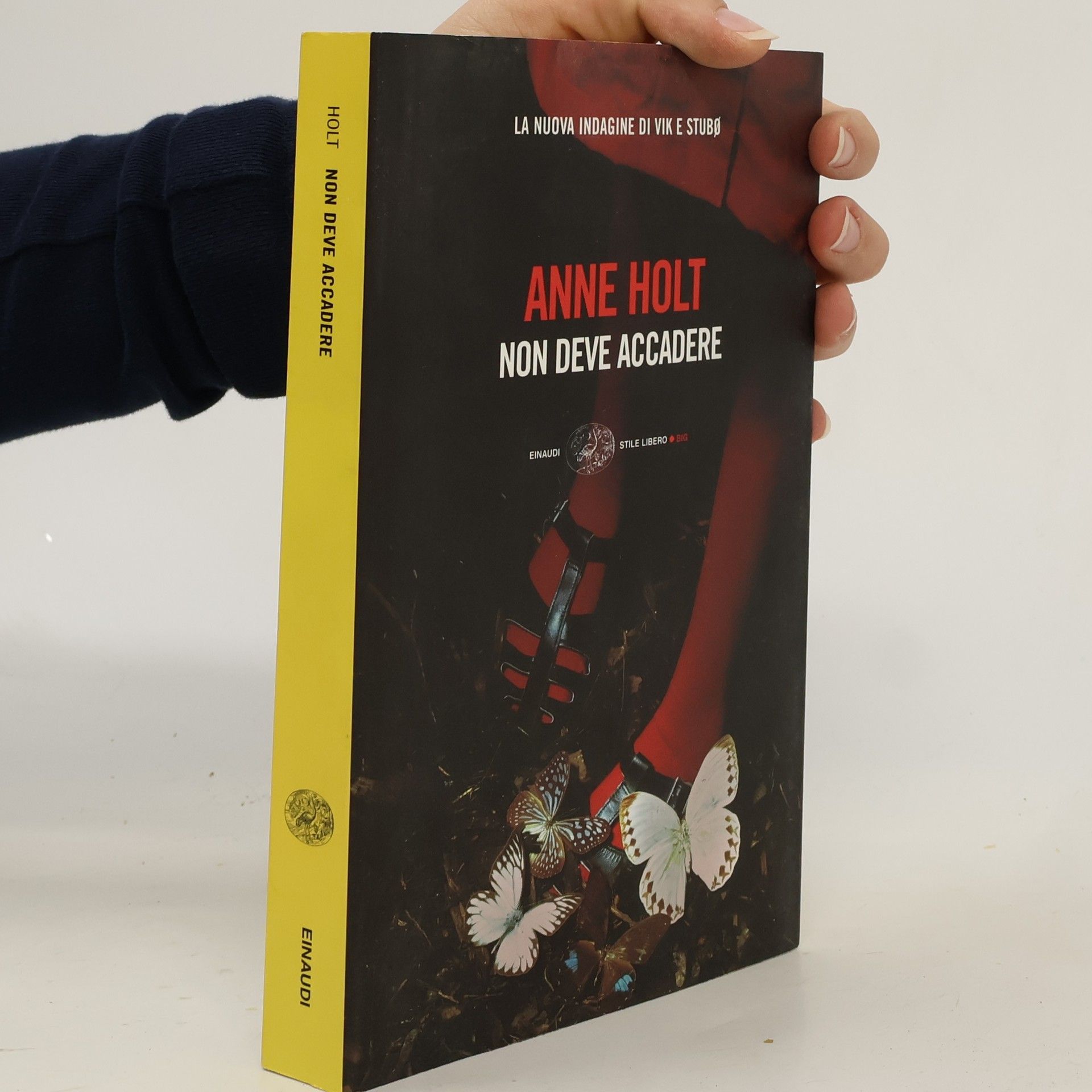 Anne Holt La nuova indagine di Vik e Stubø: Non deve accadere