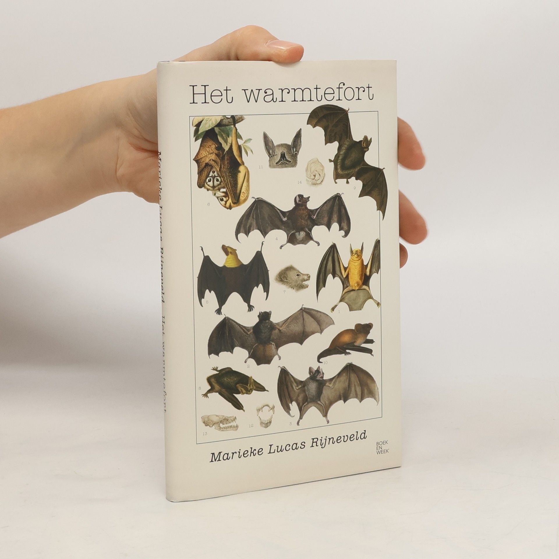 Marieke Lucas Rijneveld Het warmtefort