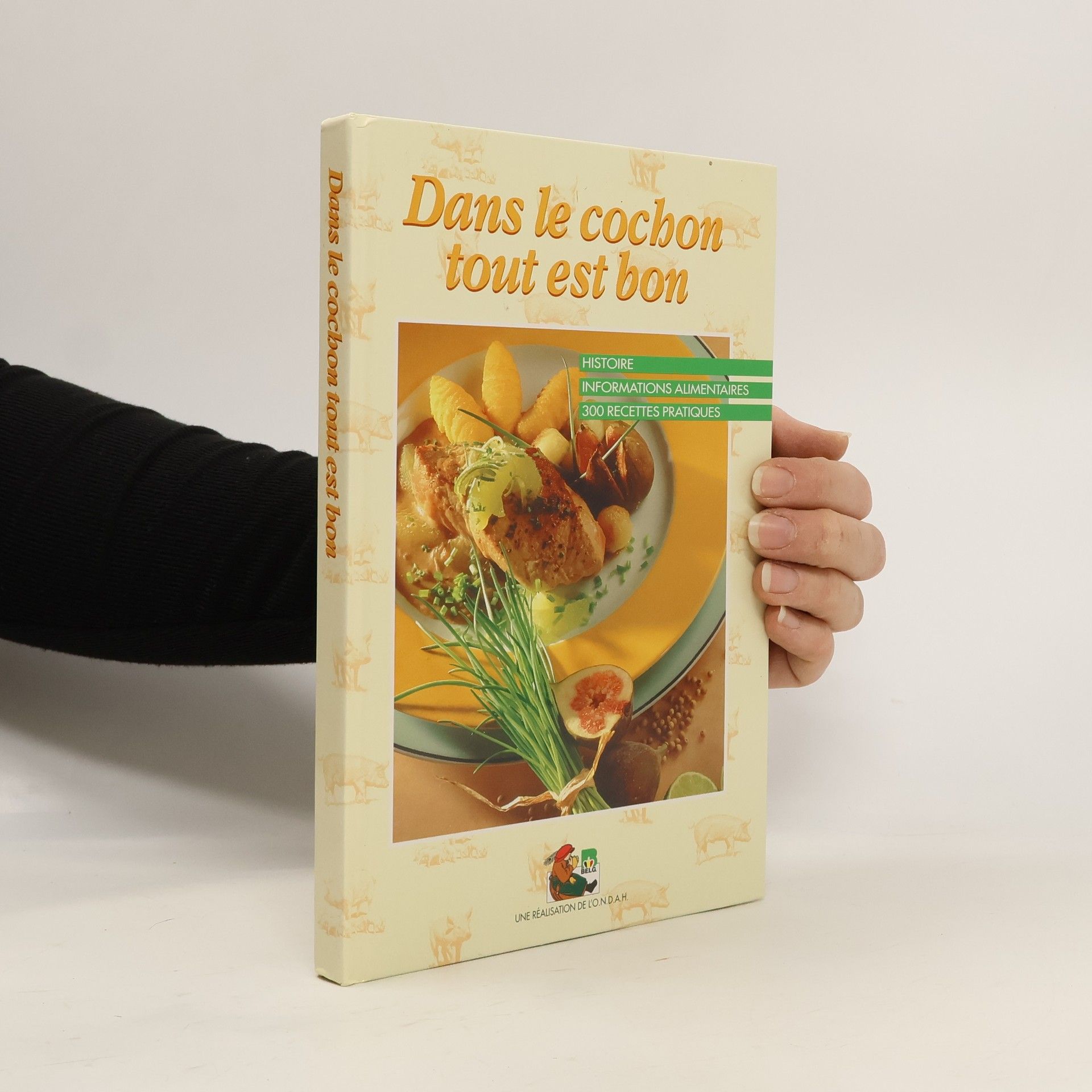 Autorenkollektiv Dans le cochon tout est bon