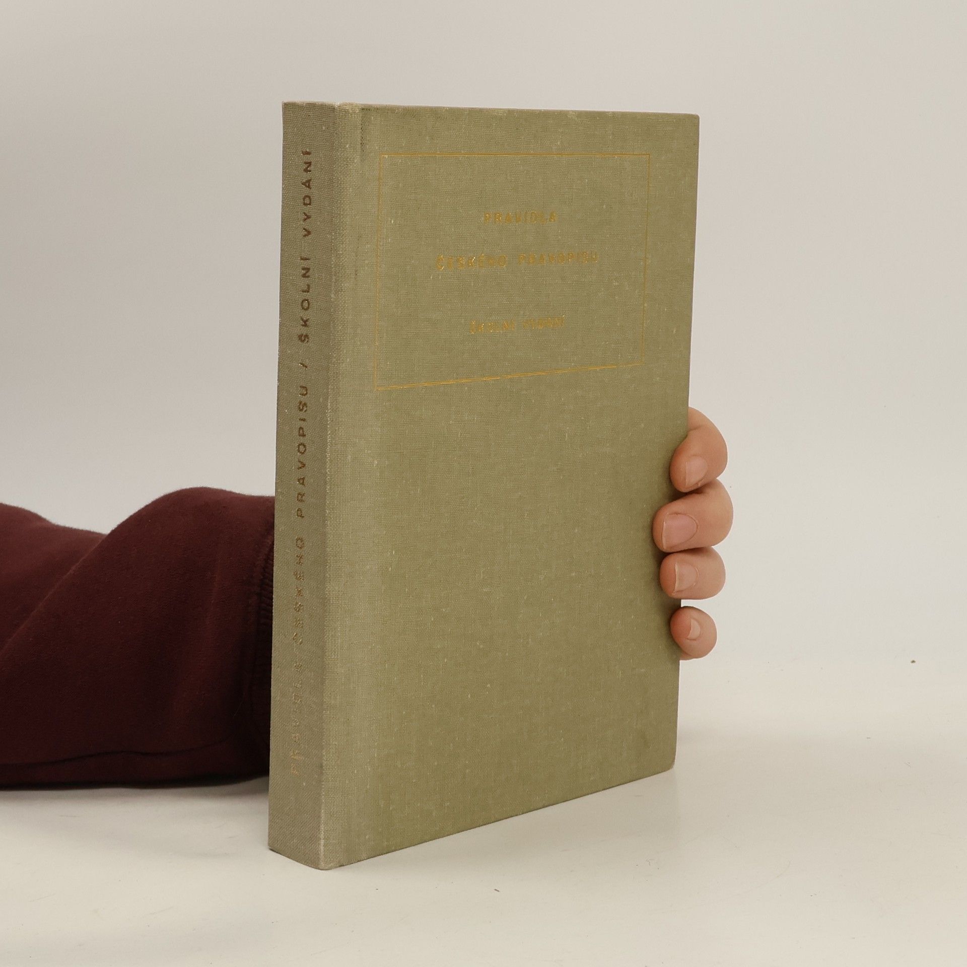 Collectif d'auteurs Pravidla českého pravopisu. Školní vydání