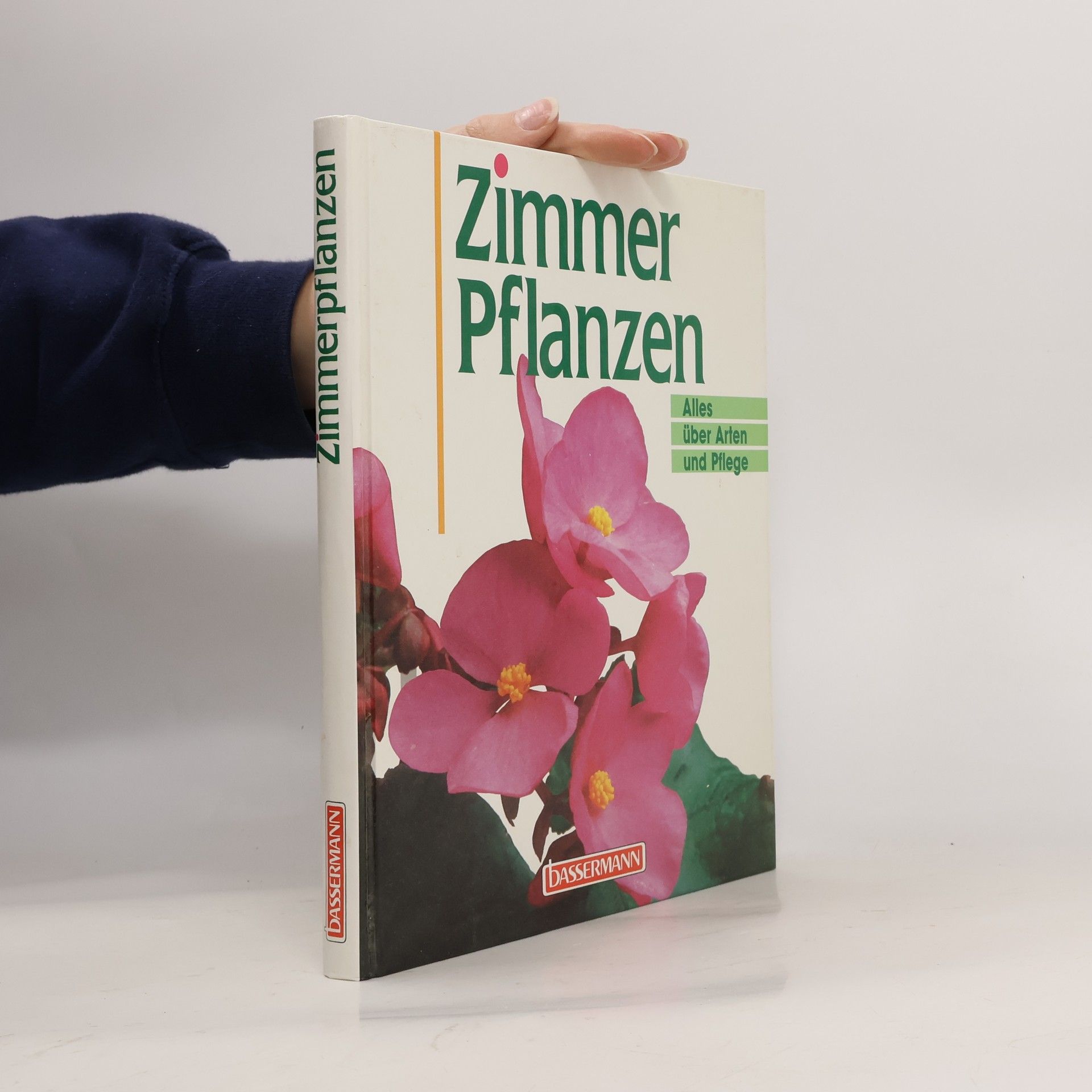 Zimmer Pflanzen