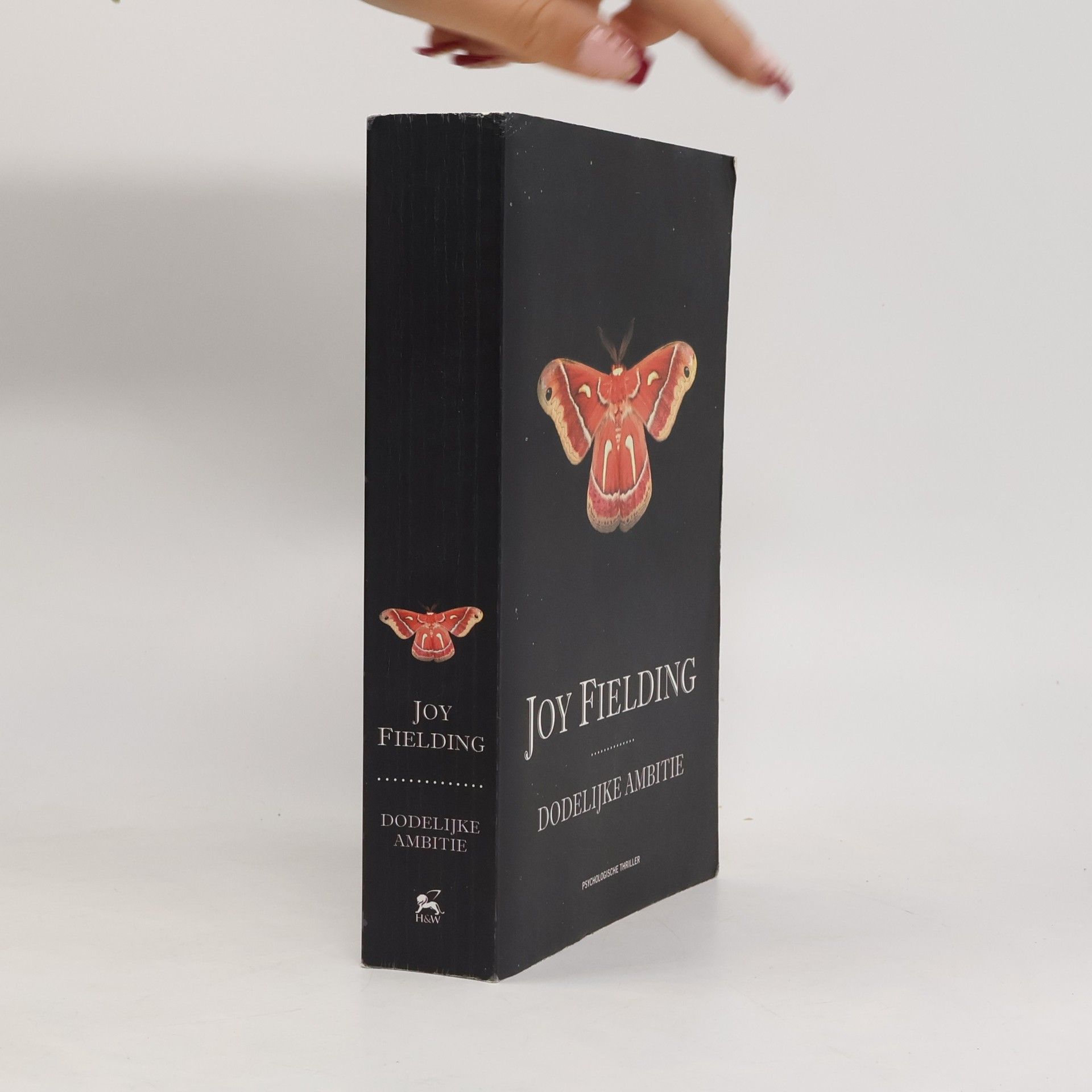 Joy Fielding Dodelijke ambitie