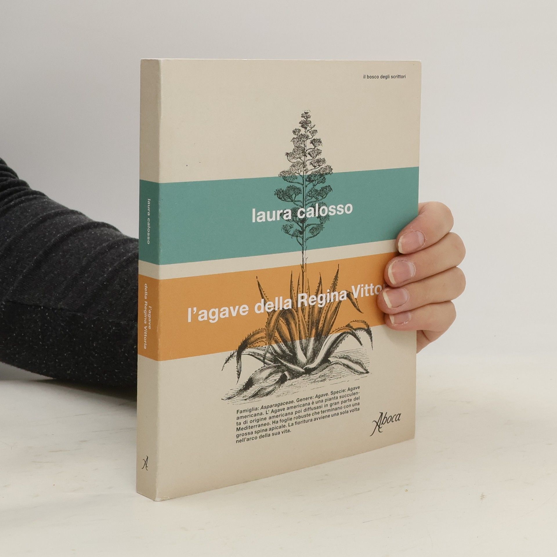 Laura Calosso Il bosco degli scrittori: L'agave della Regina Vittoria